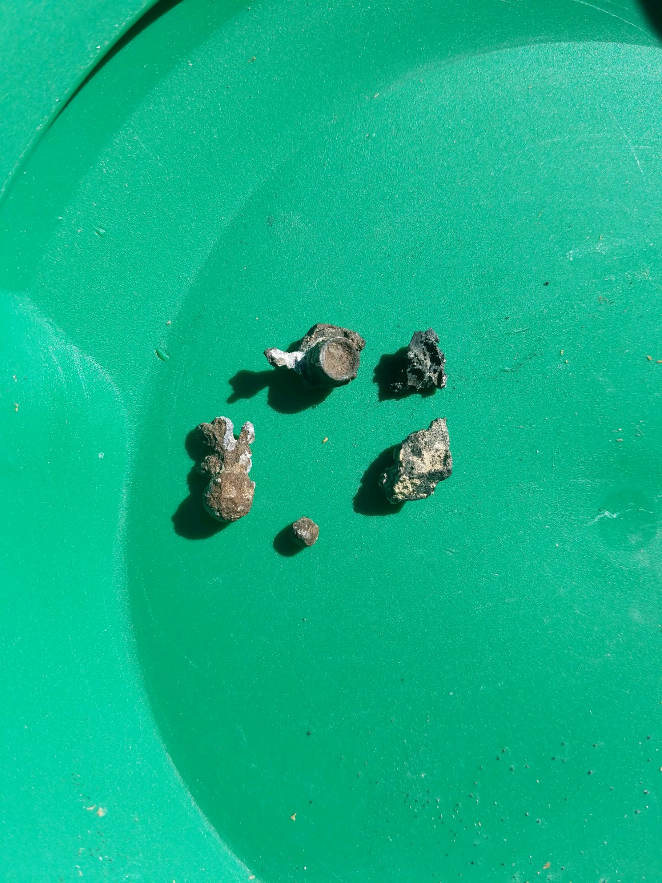 Member content 162 of 206