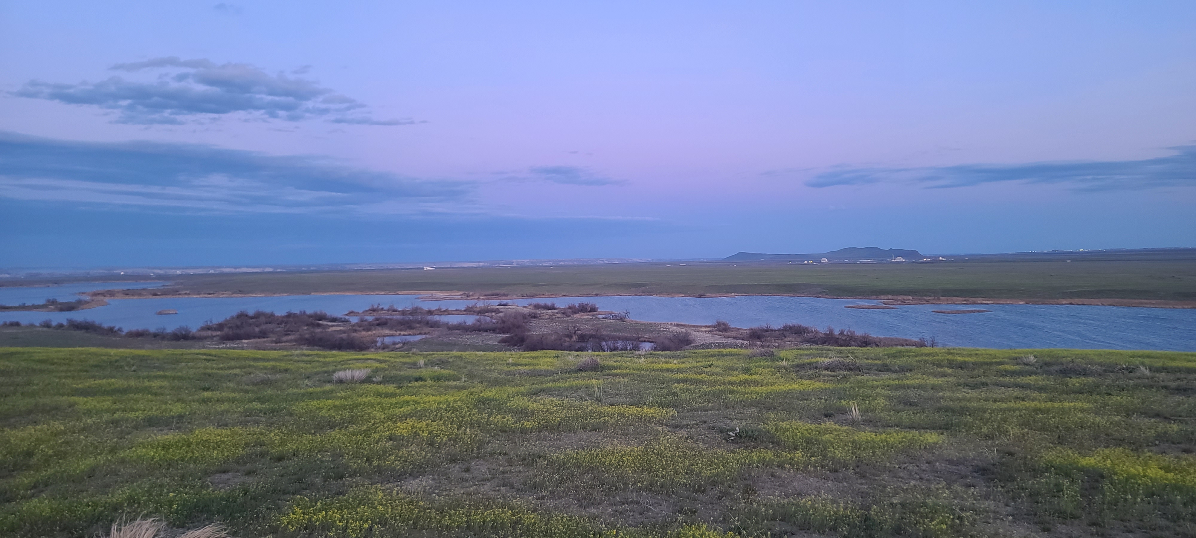 Member content 1 of 4