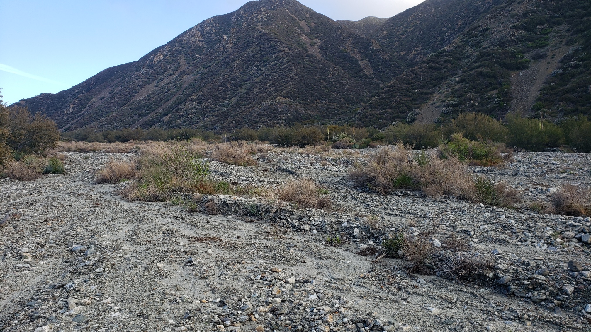 Member content 18 of 33