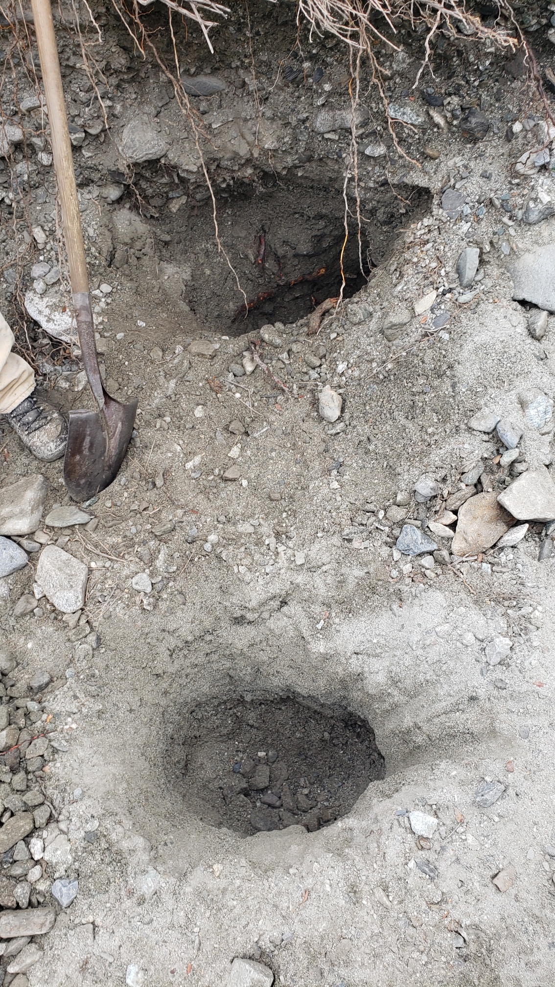 Member content 19 of 33