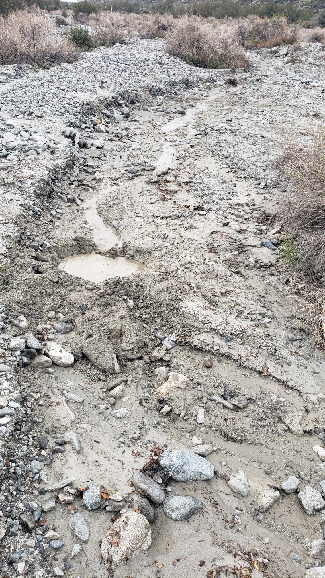 Member content 20 of 33