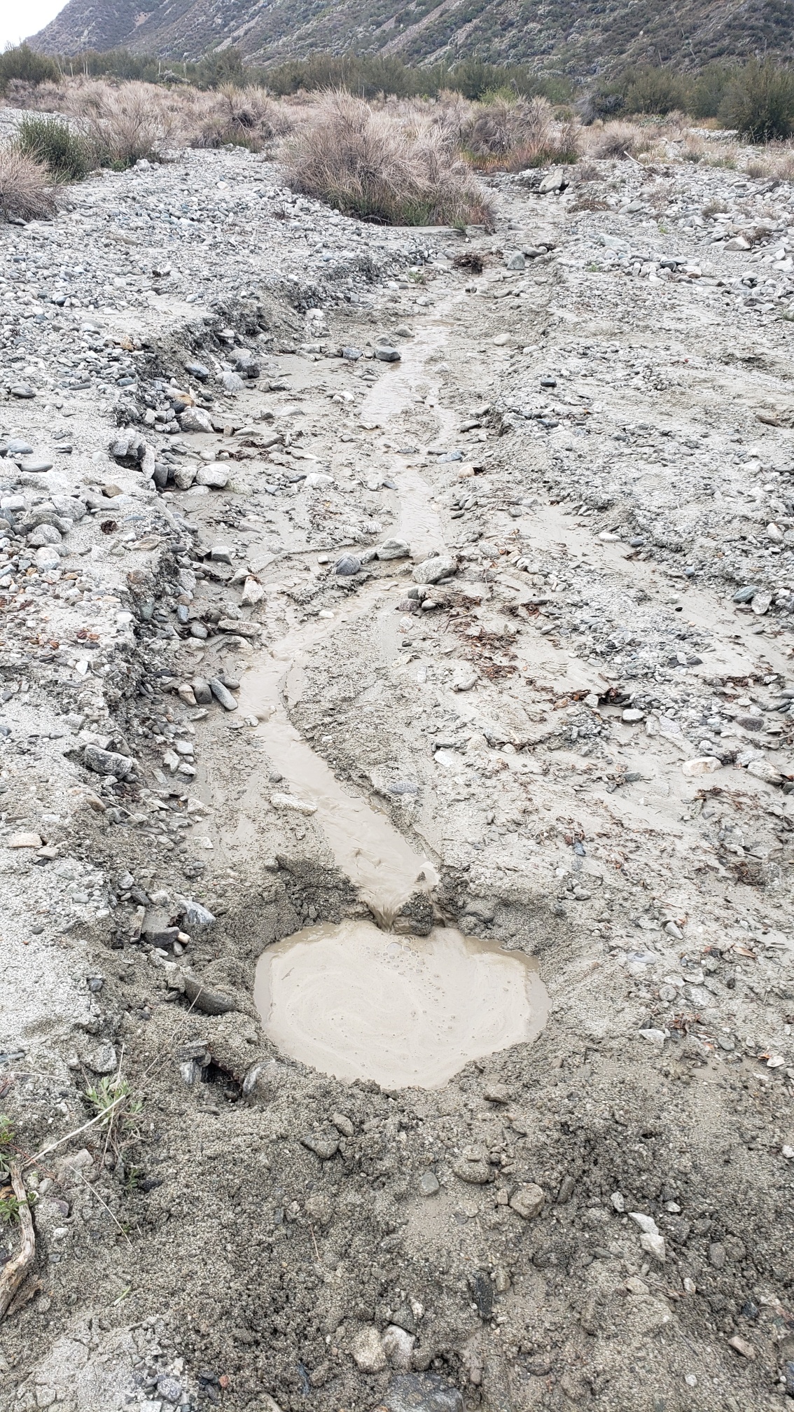 Member content 21 of 33