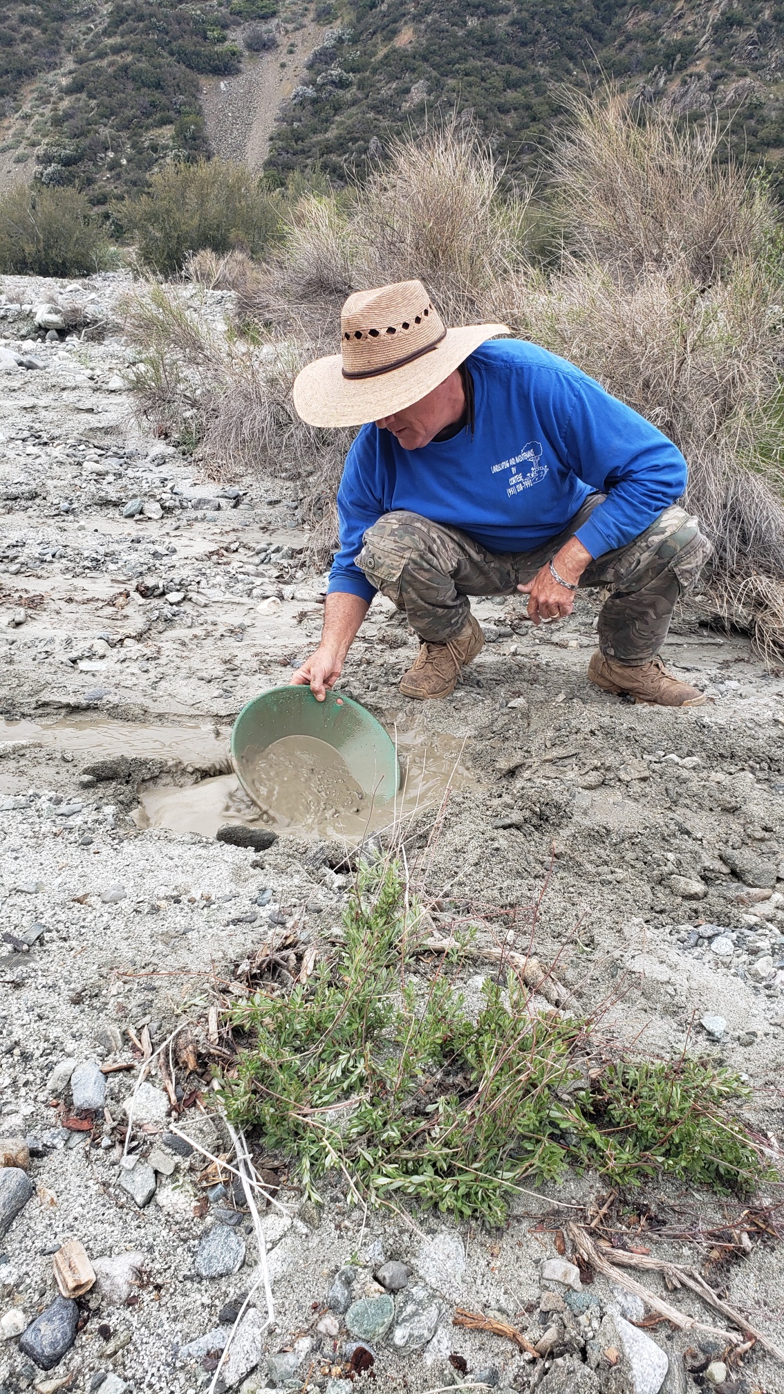 Member content 22 of 33