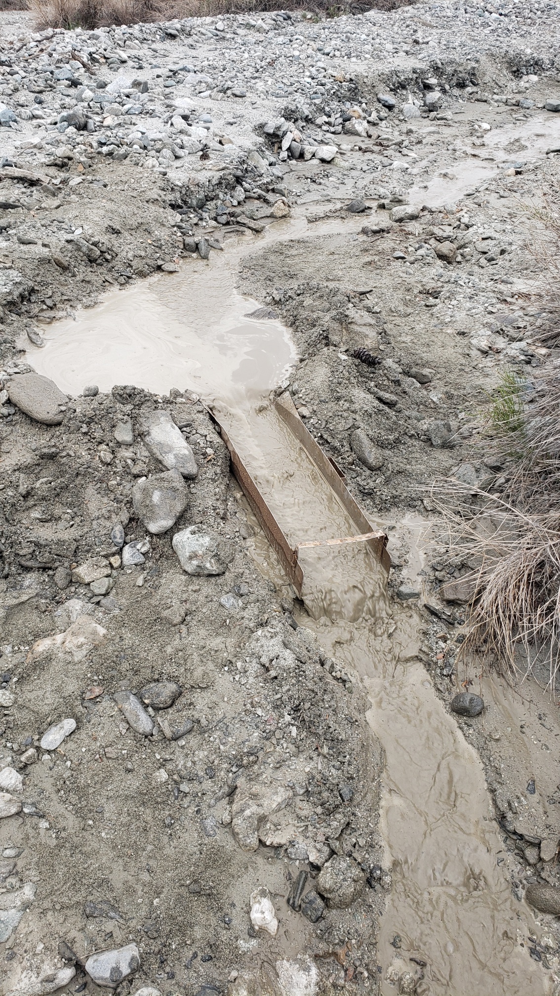 Member content 24 of 33