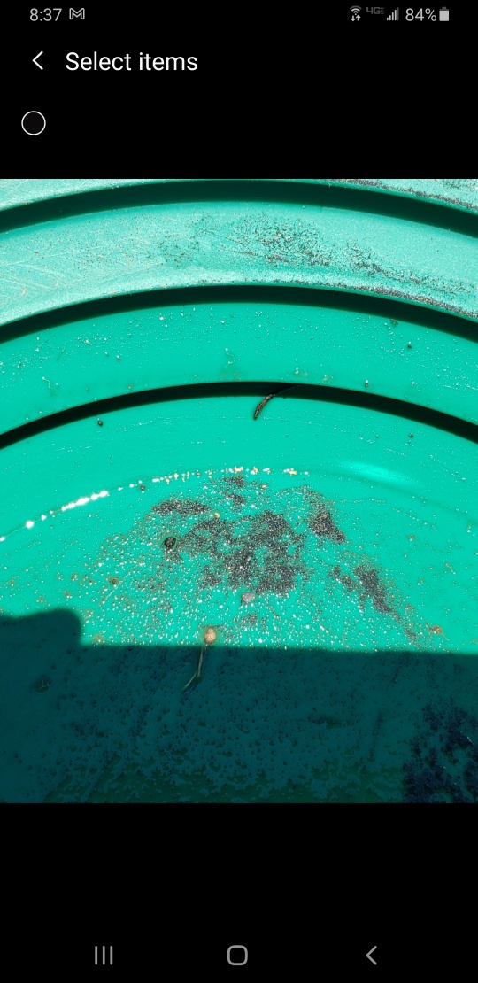 Member content 25 of 33