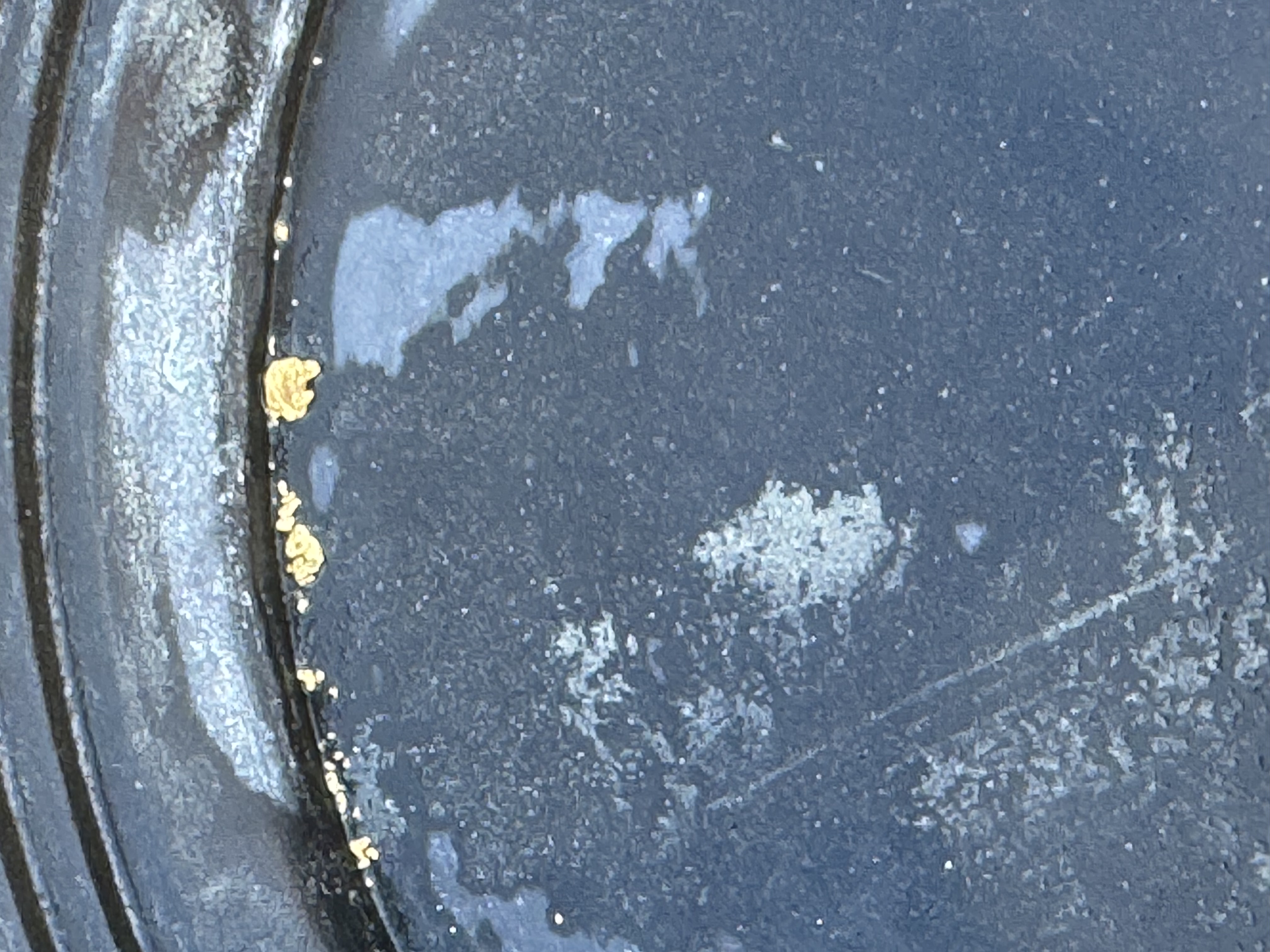 Member content 202 of 206