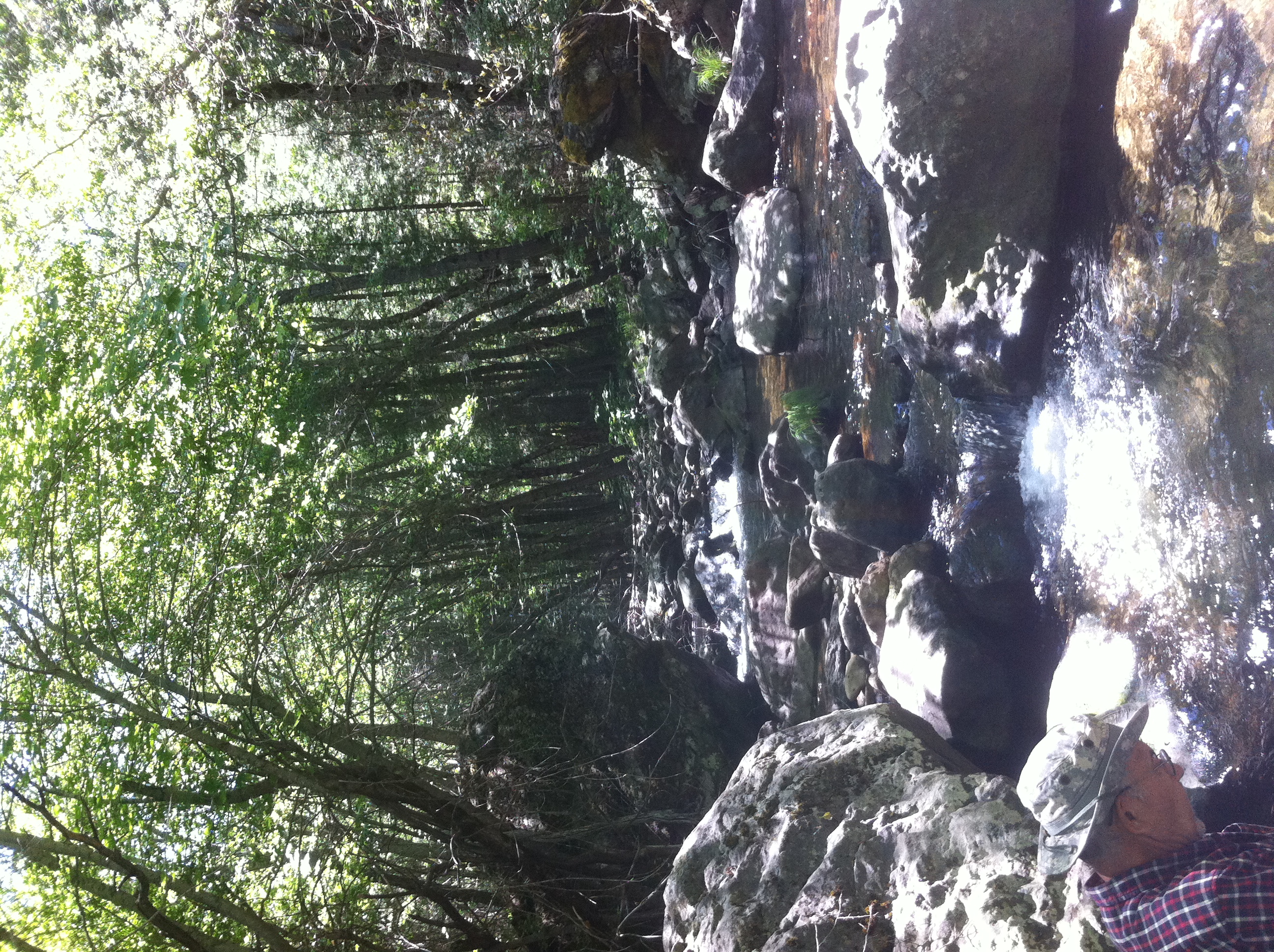 Member content 8 of 23