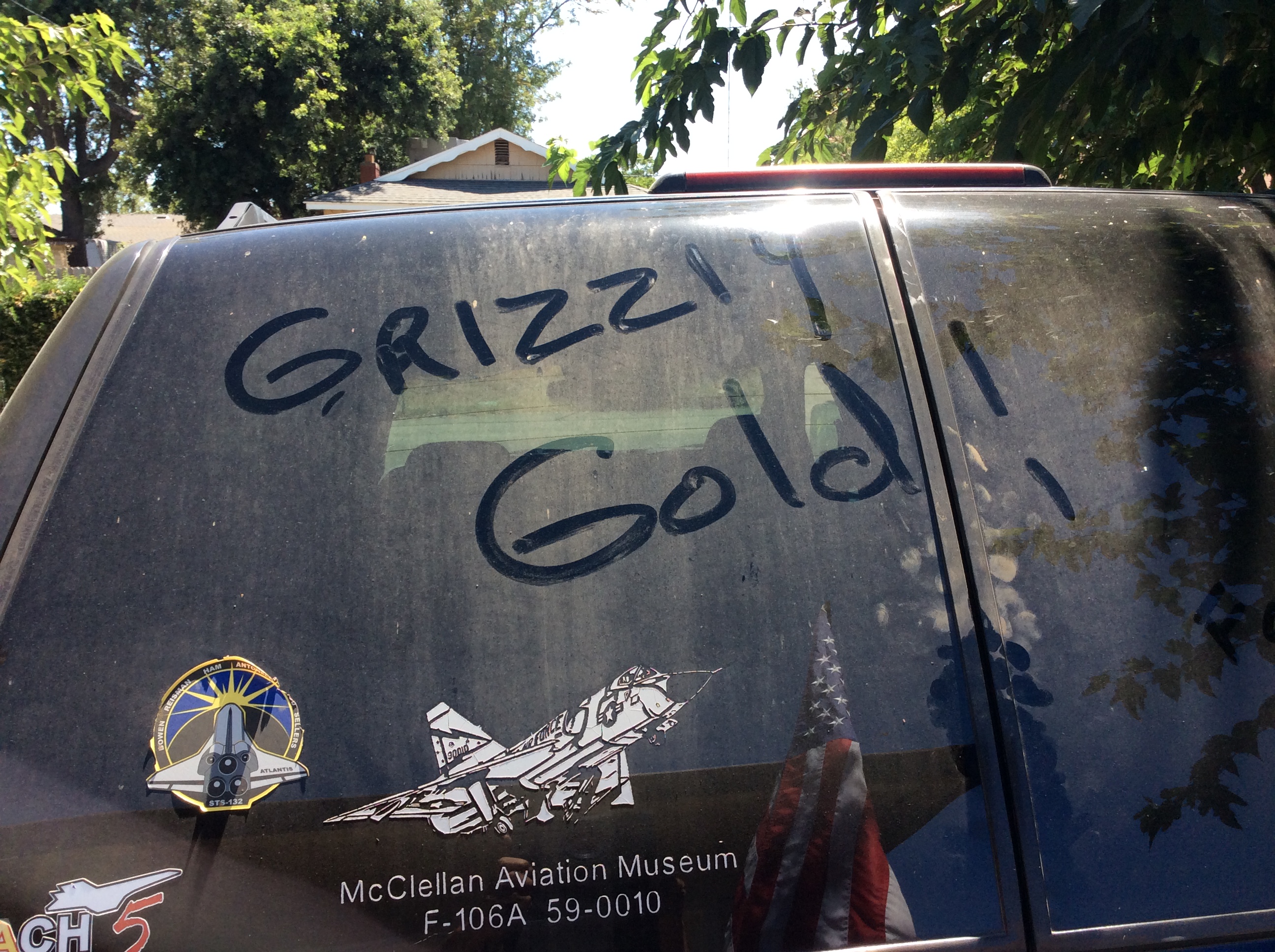 Member content 10 of 23