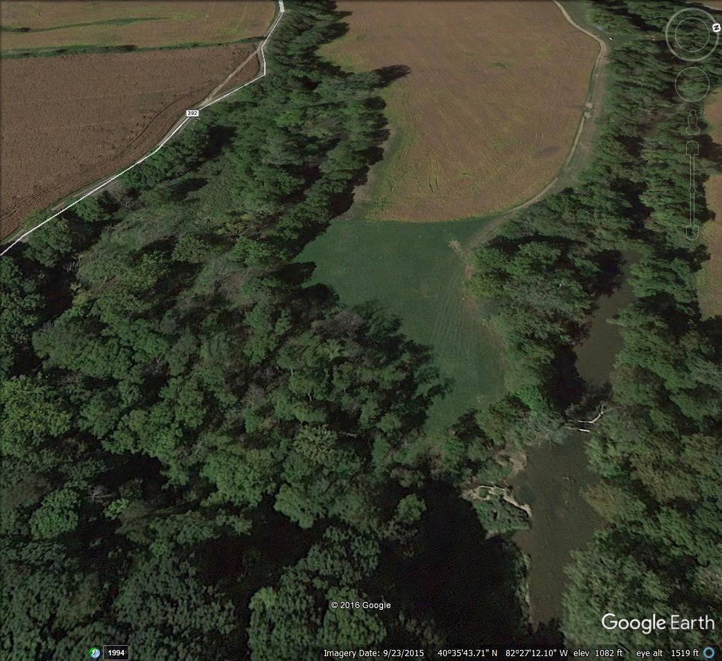 Member content 1 of 21