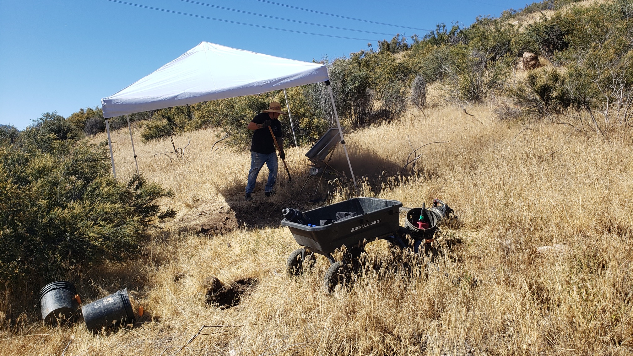 Member content 67 of 97