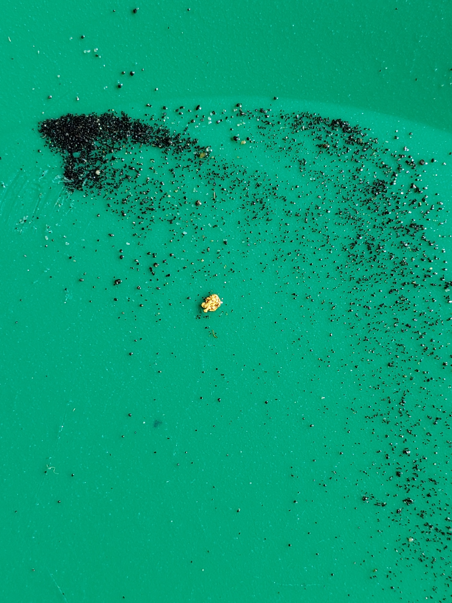 Member content 69 of 97