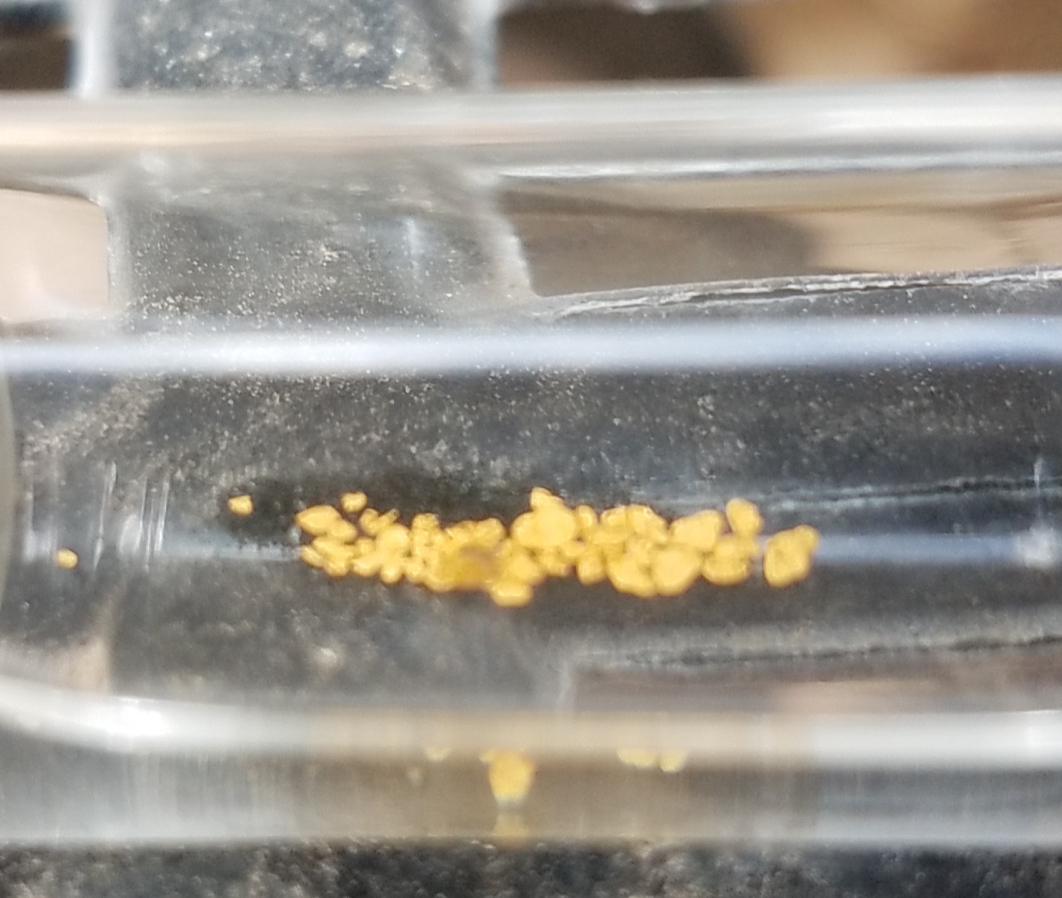 Member content 37 of 206