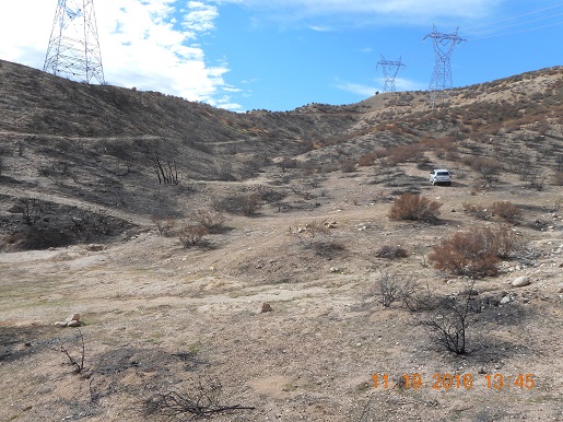 Member content 8 of 97