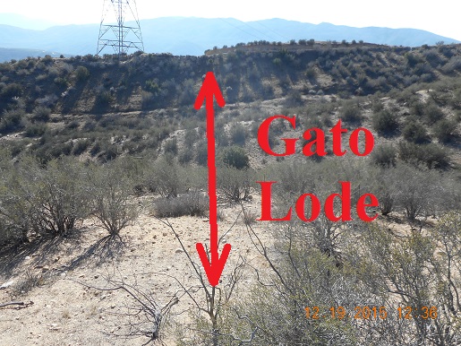 Member content 10 of 97