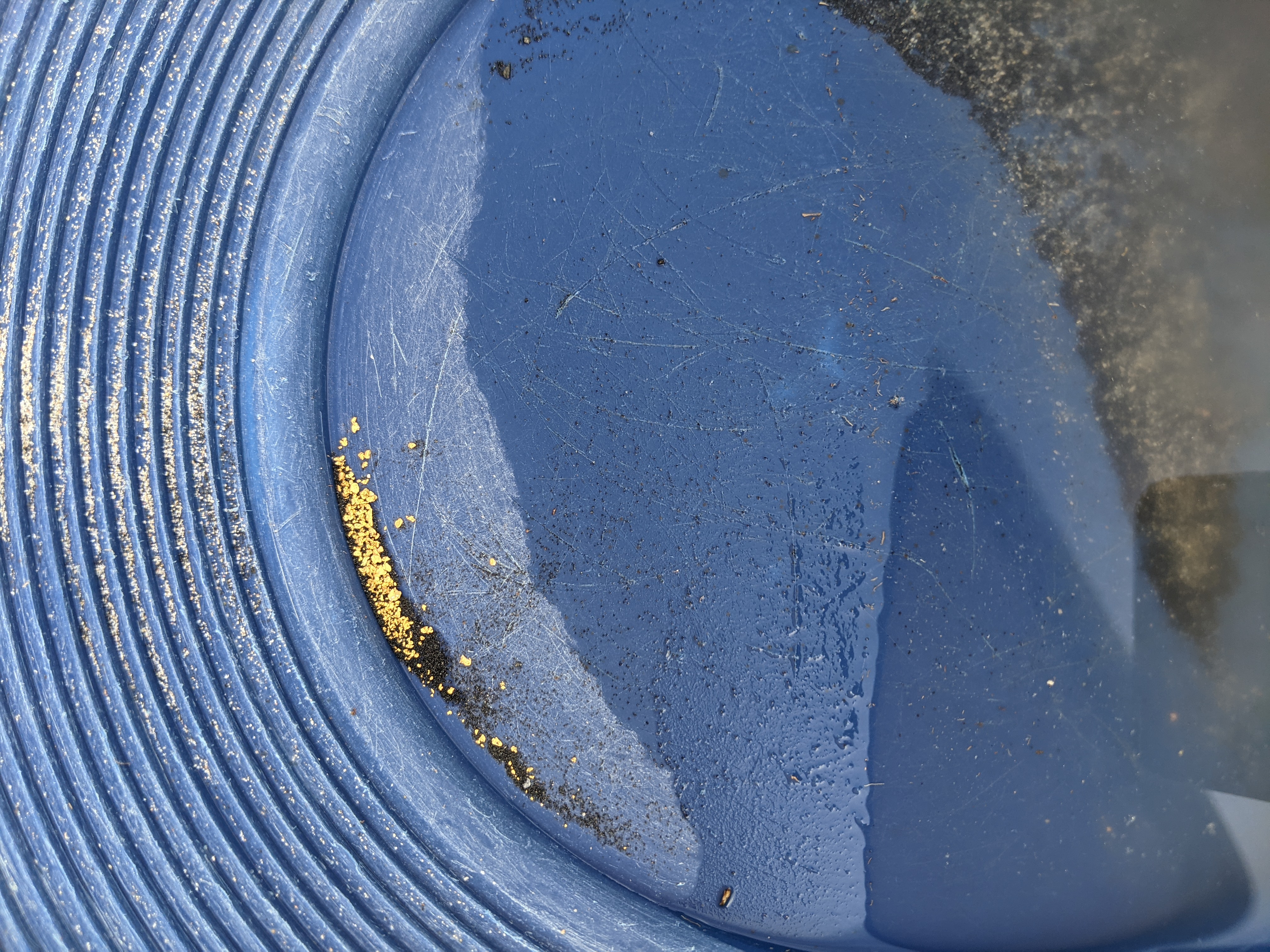 Member content 155 of 206