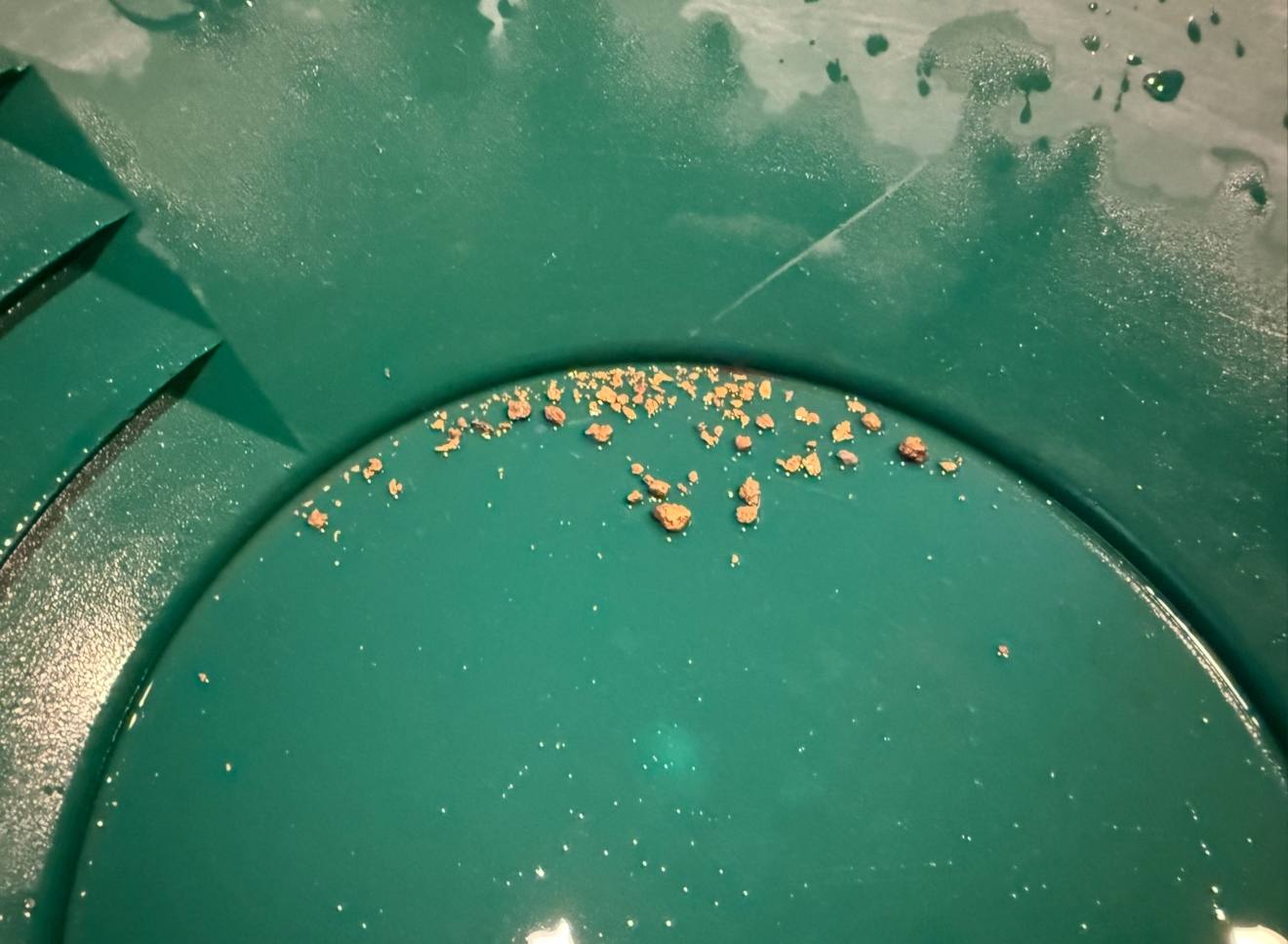 Member content 24 of 27