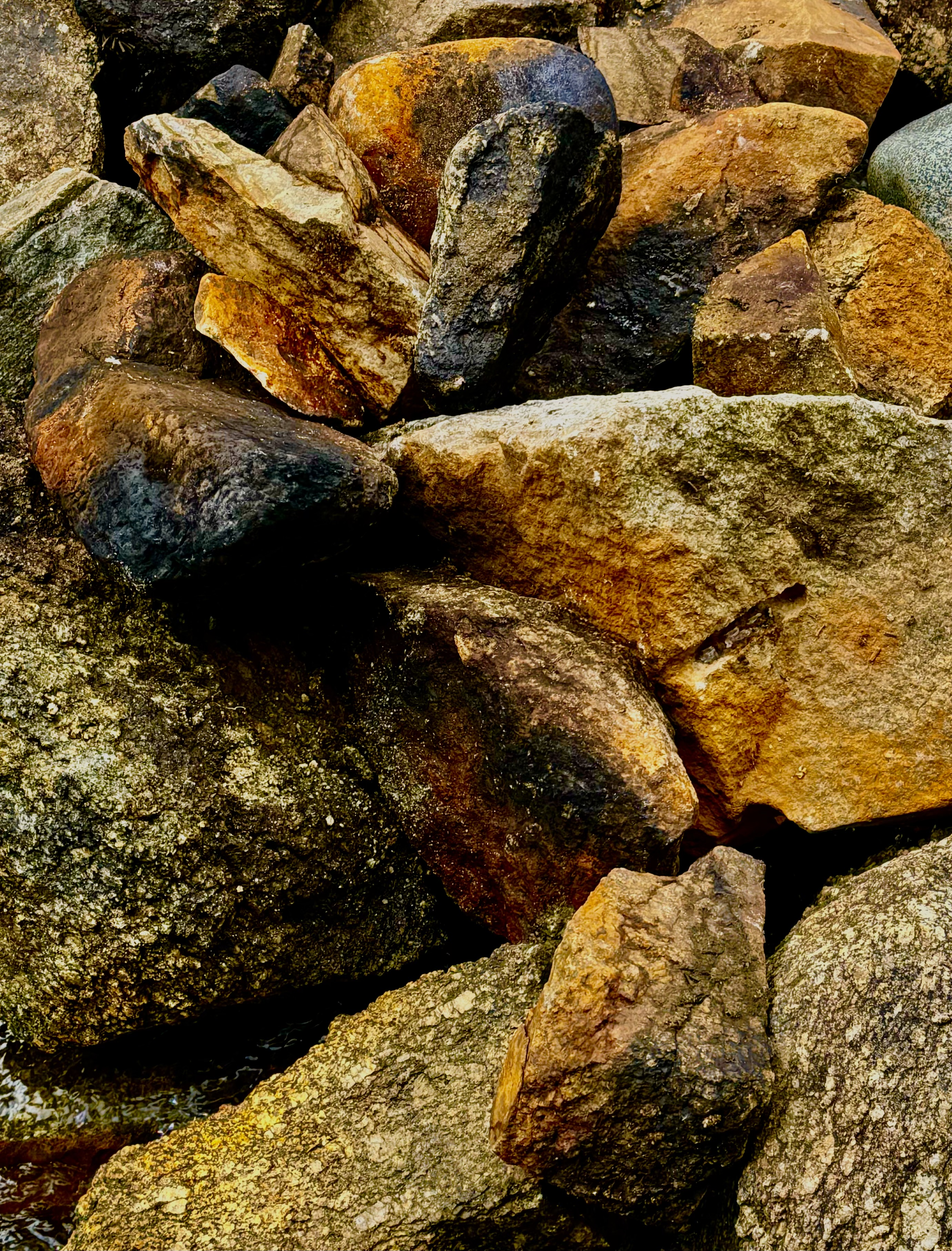 Member content 36 of 42