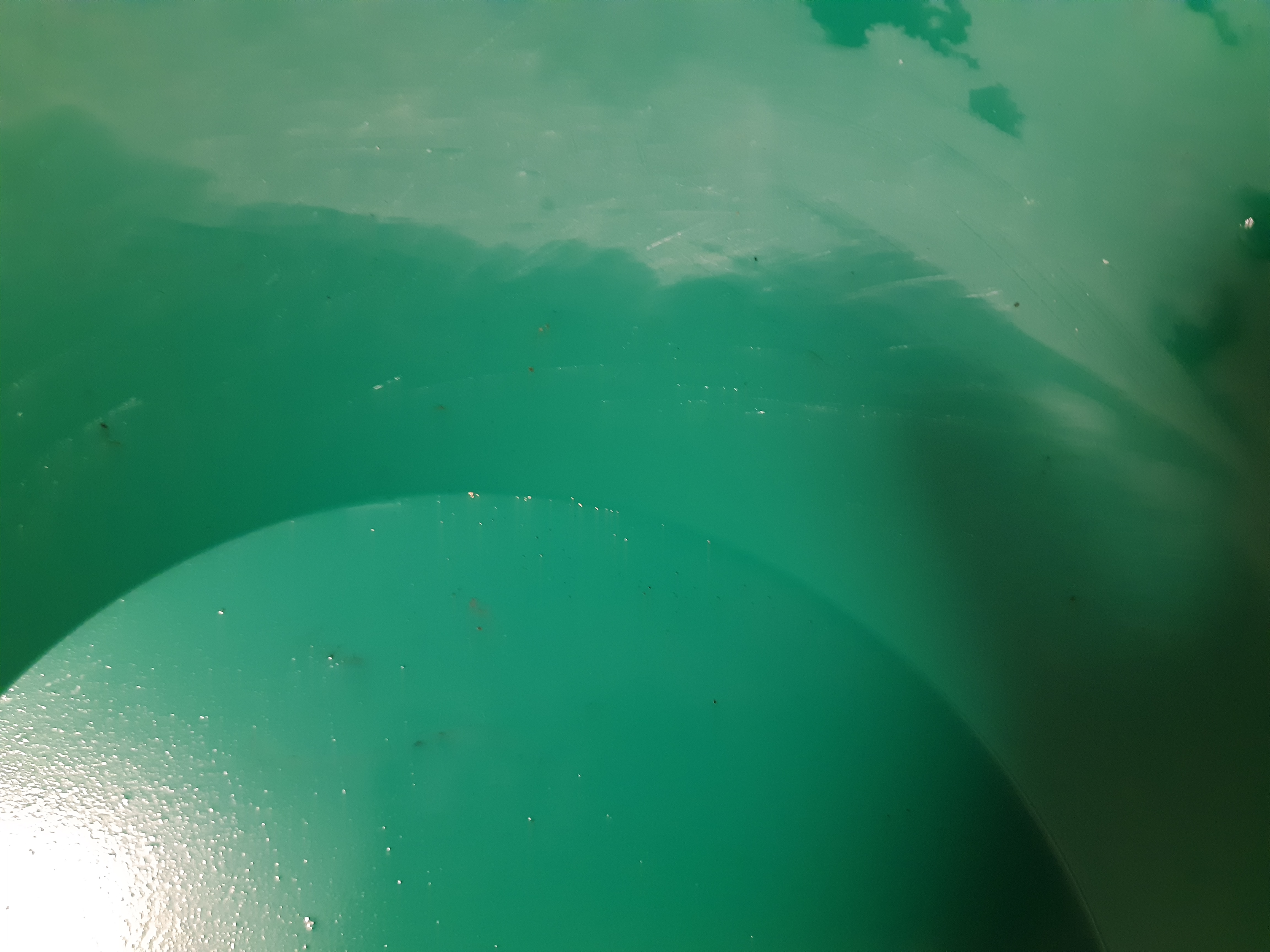 Member content 3 of 8