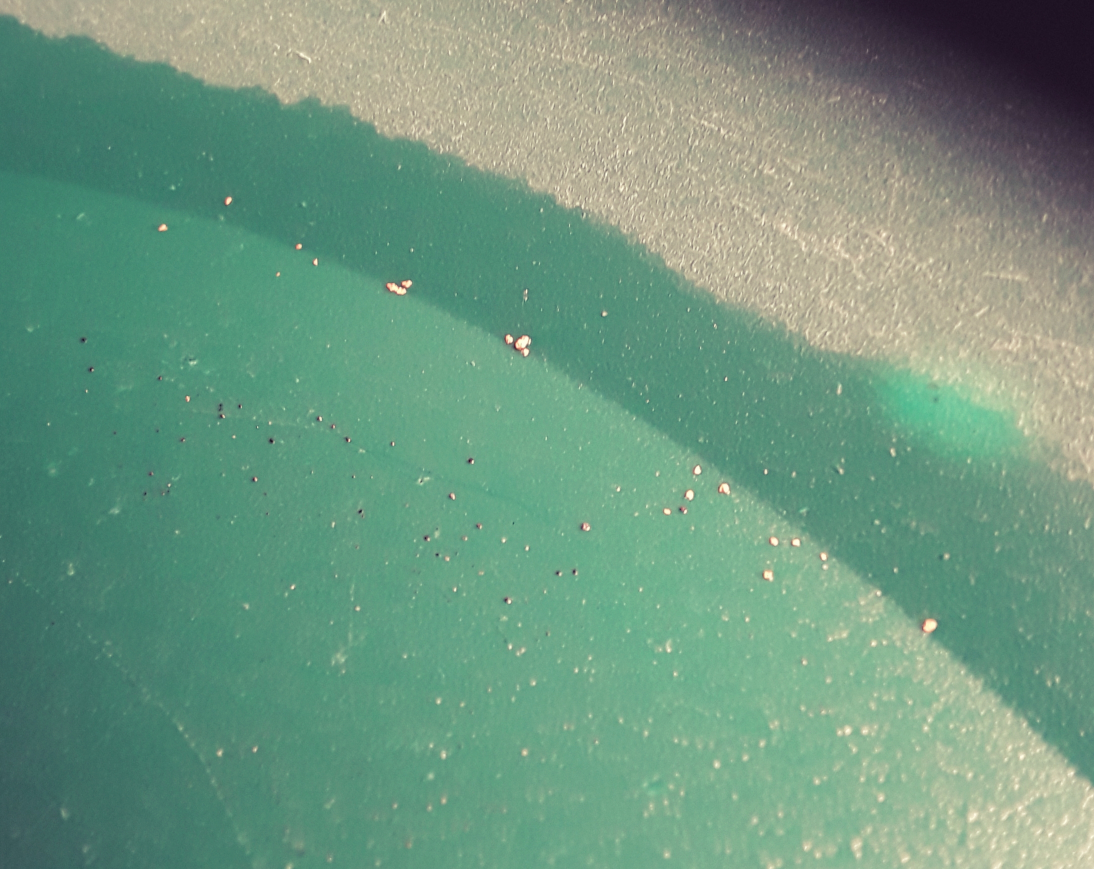 Member content 25 of 97