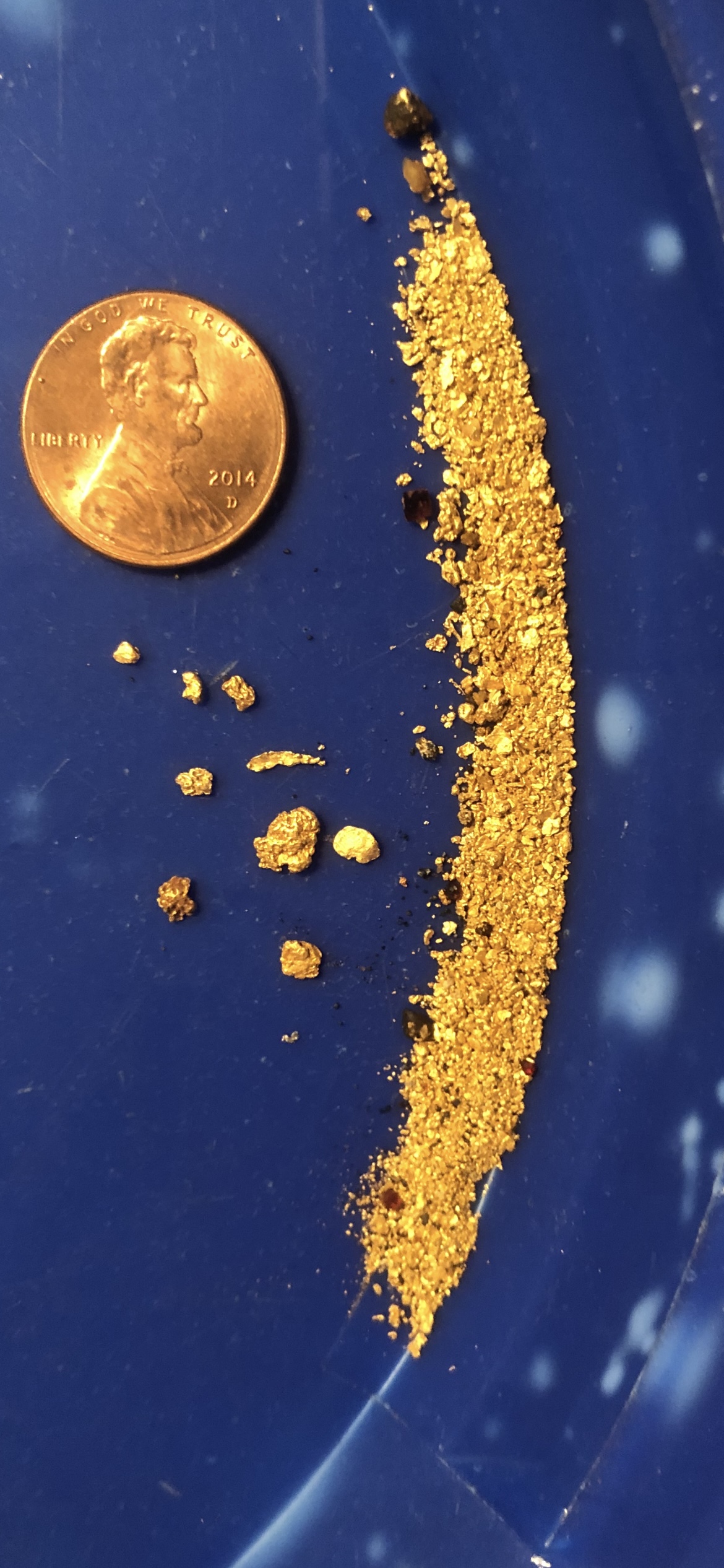 Member content 11 of 42