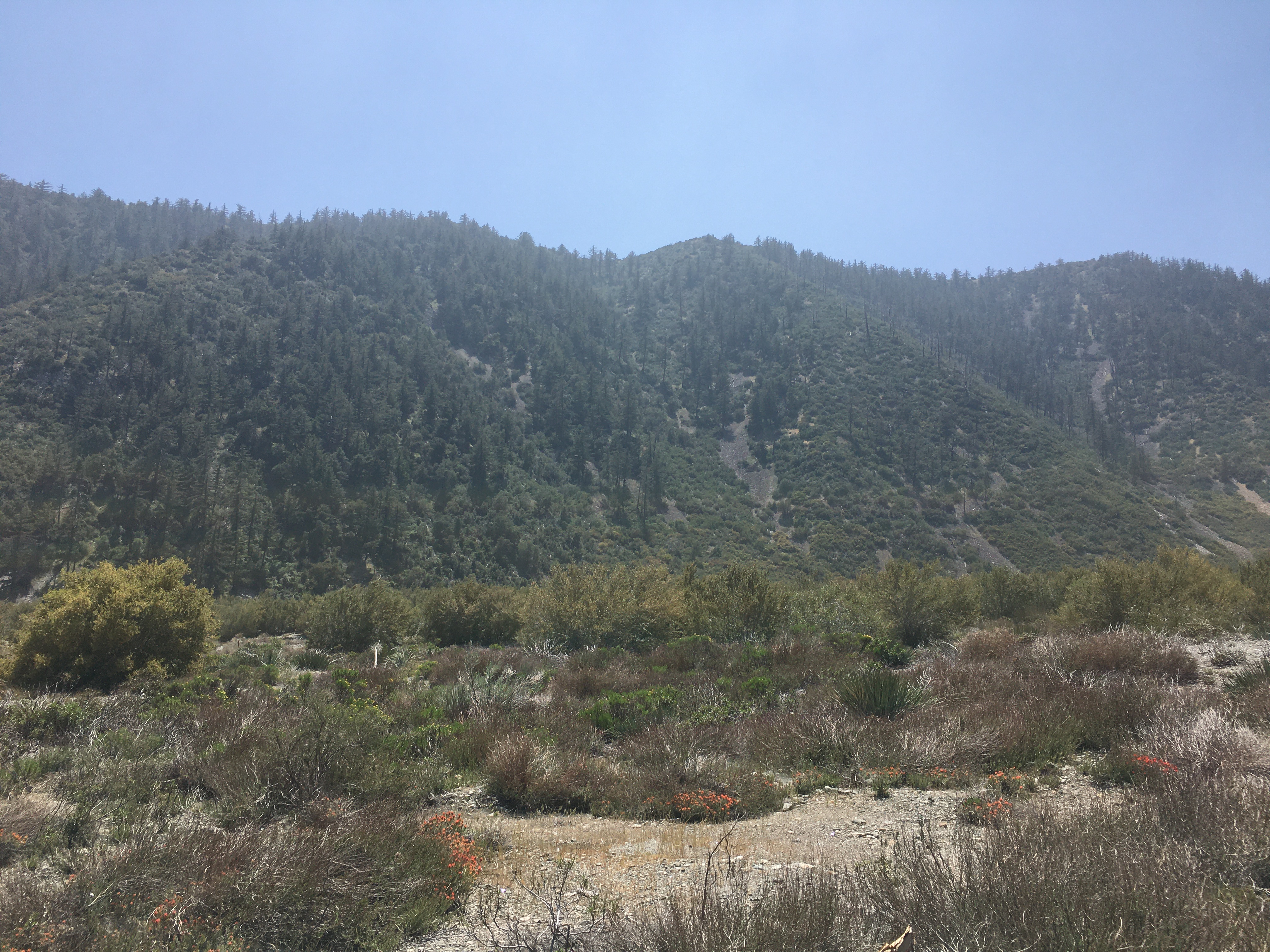 Member content 17 of 33