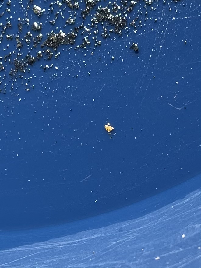 Member content 102 of 206