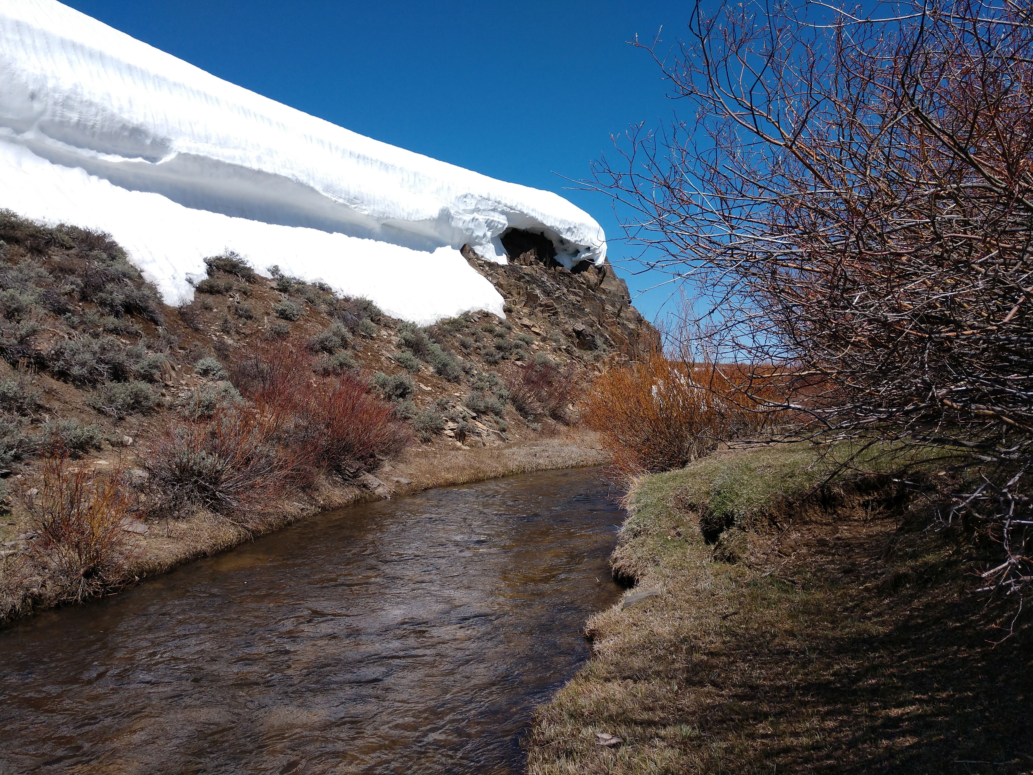 Member content 9 of 12