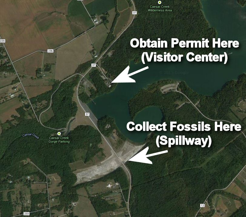 Member content 1 of 1