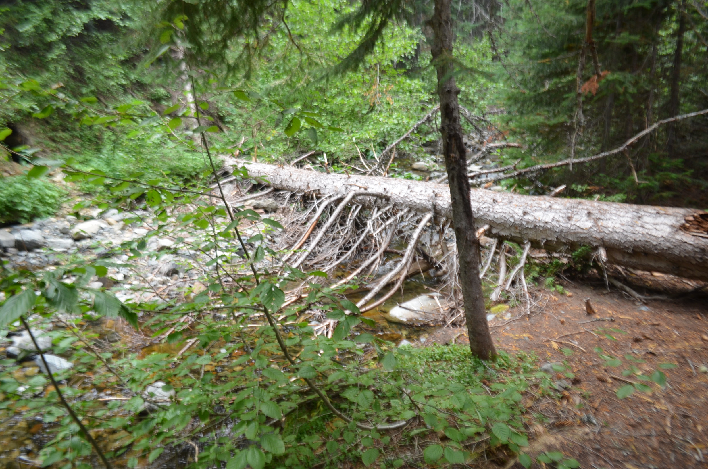 Member content 4 of 8