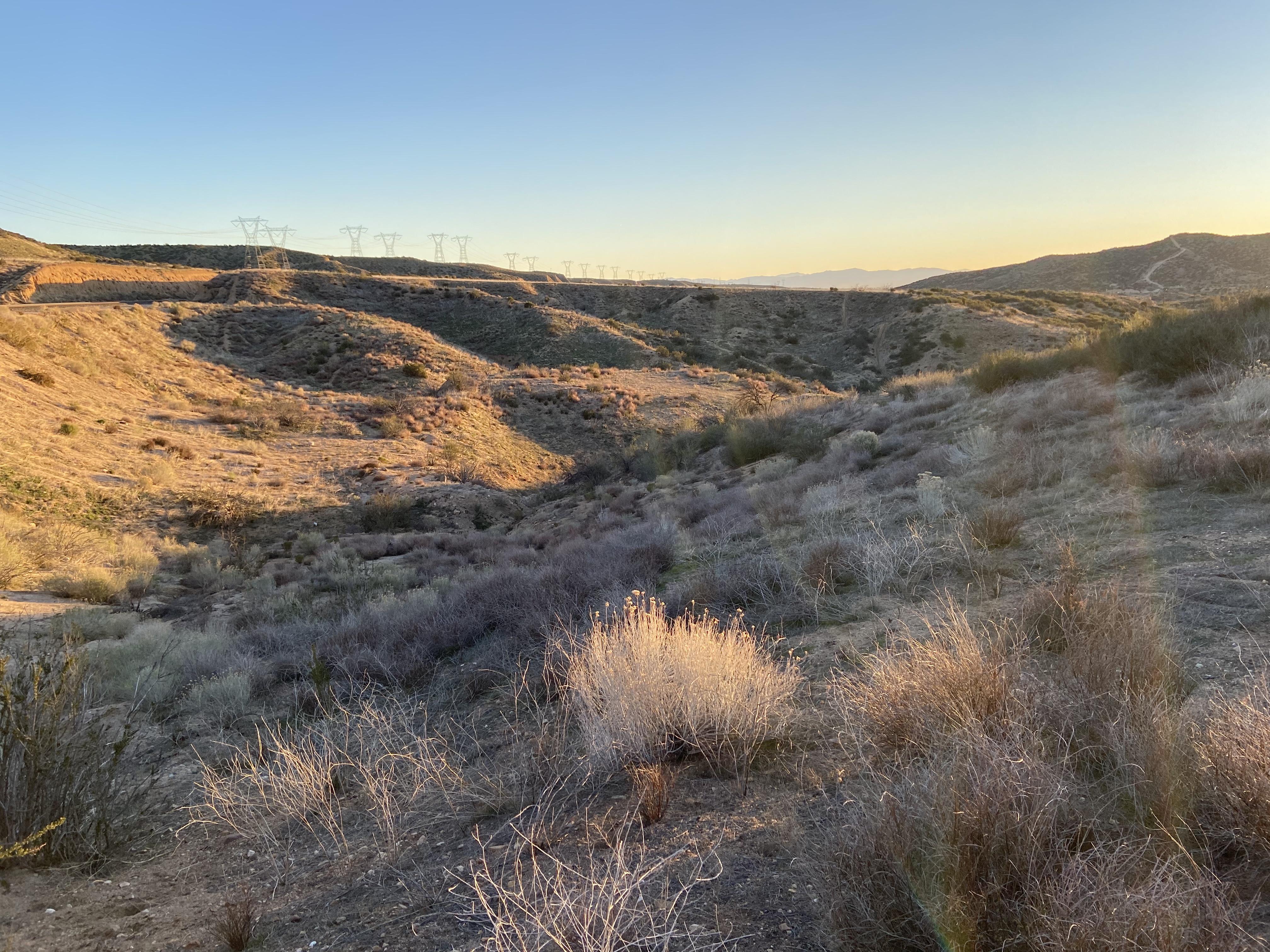 Member content 35 of 97