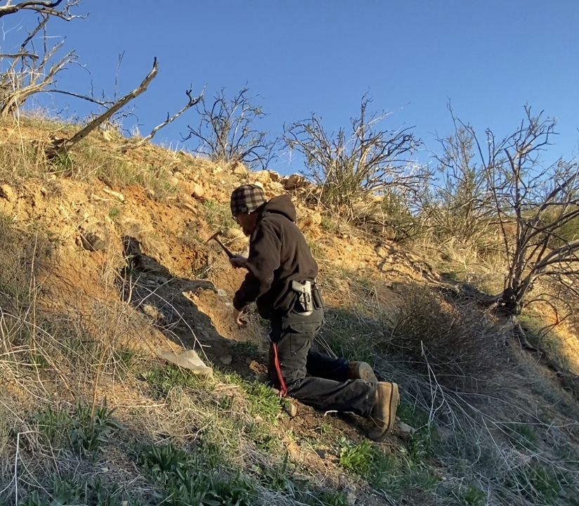 Member content 36 of 97