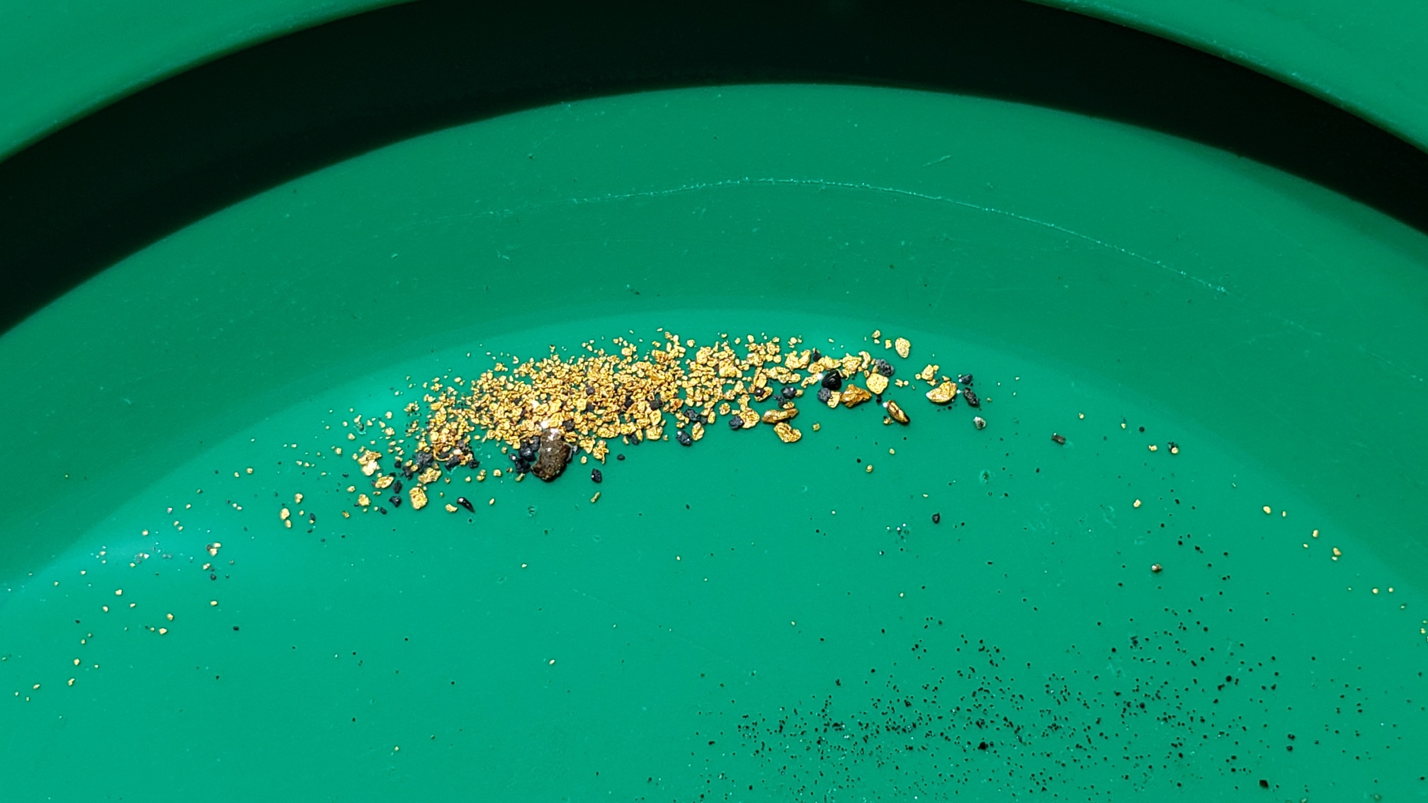 Member content 61 of 97