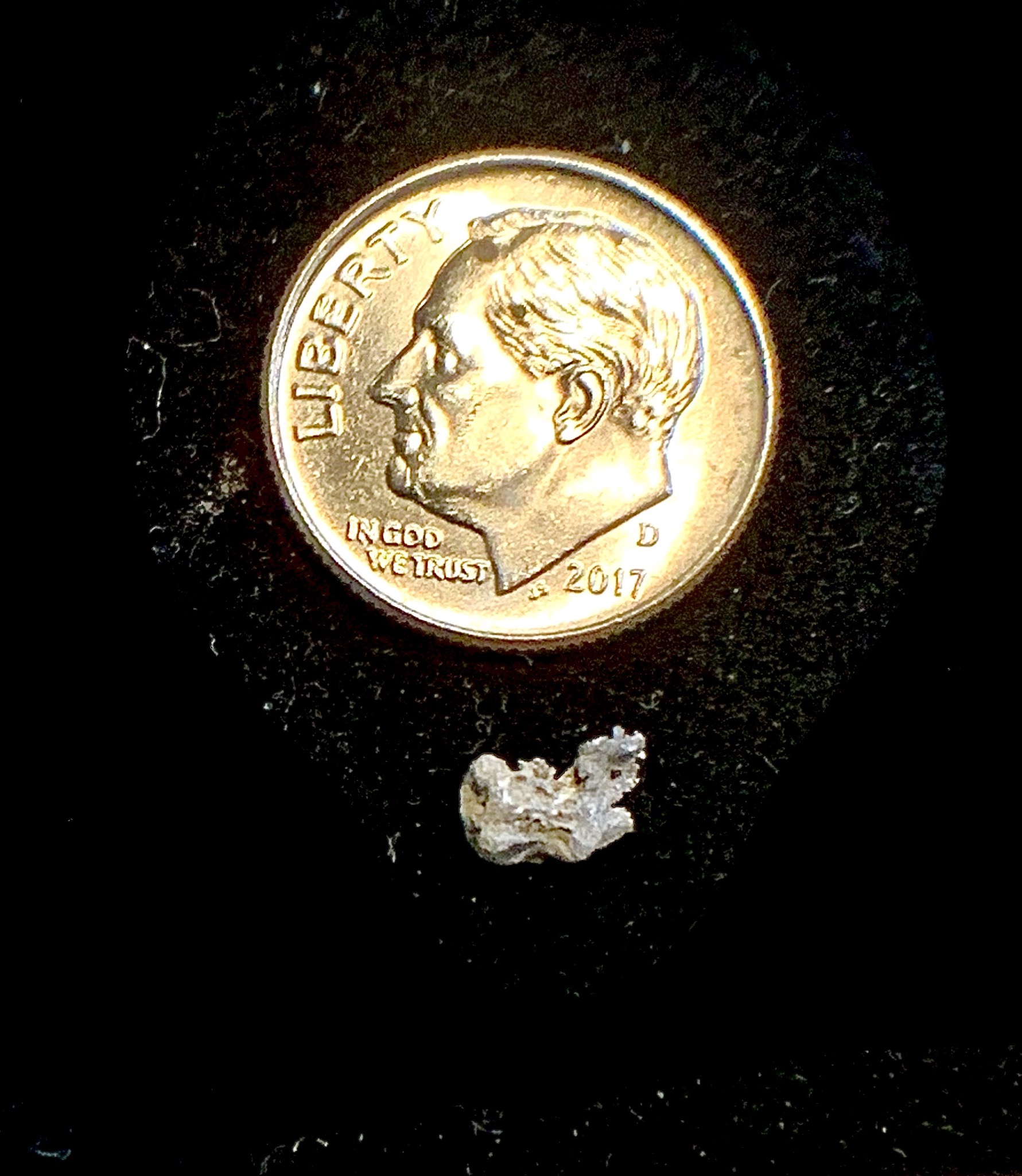 Member content 9 of 15