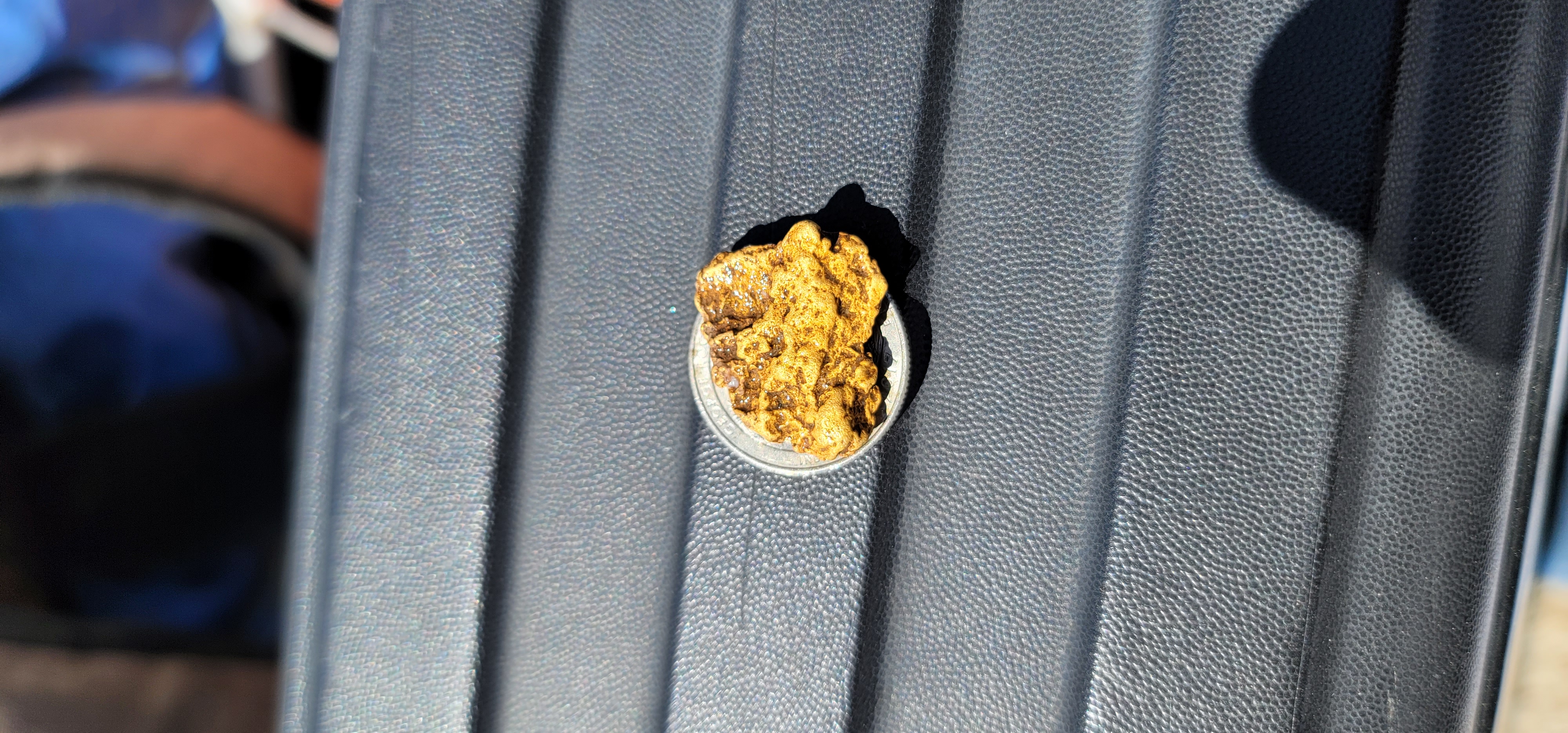 Member content 119 of 206