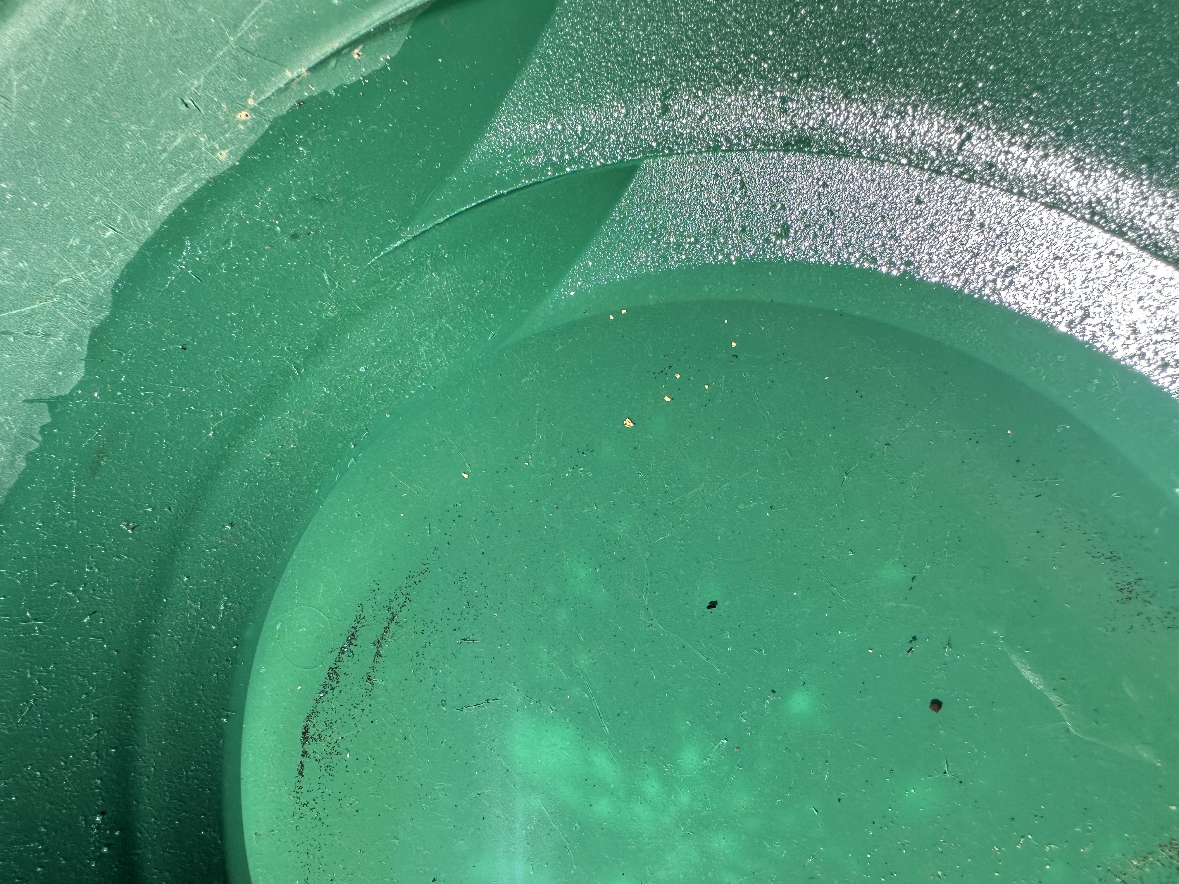 Member content 8 of 9