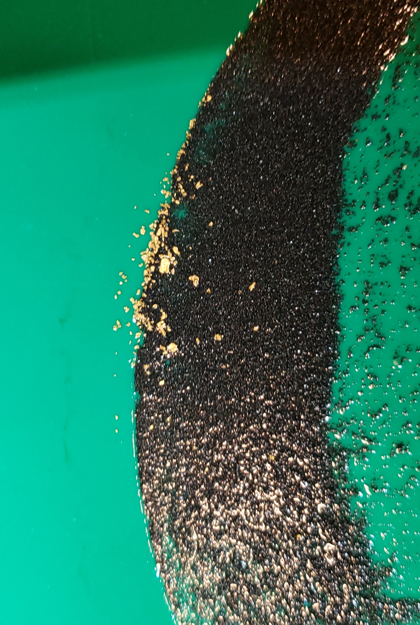 Member content 4 of 14