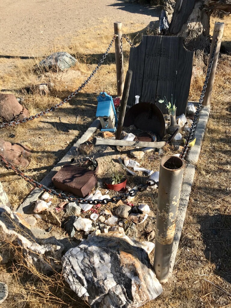 Member content 5 of 14