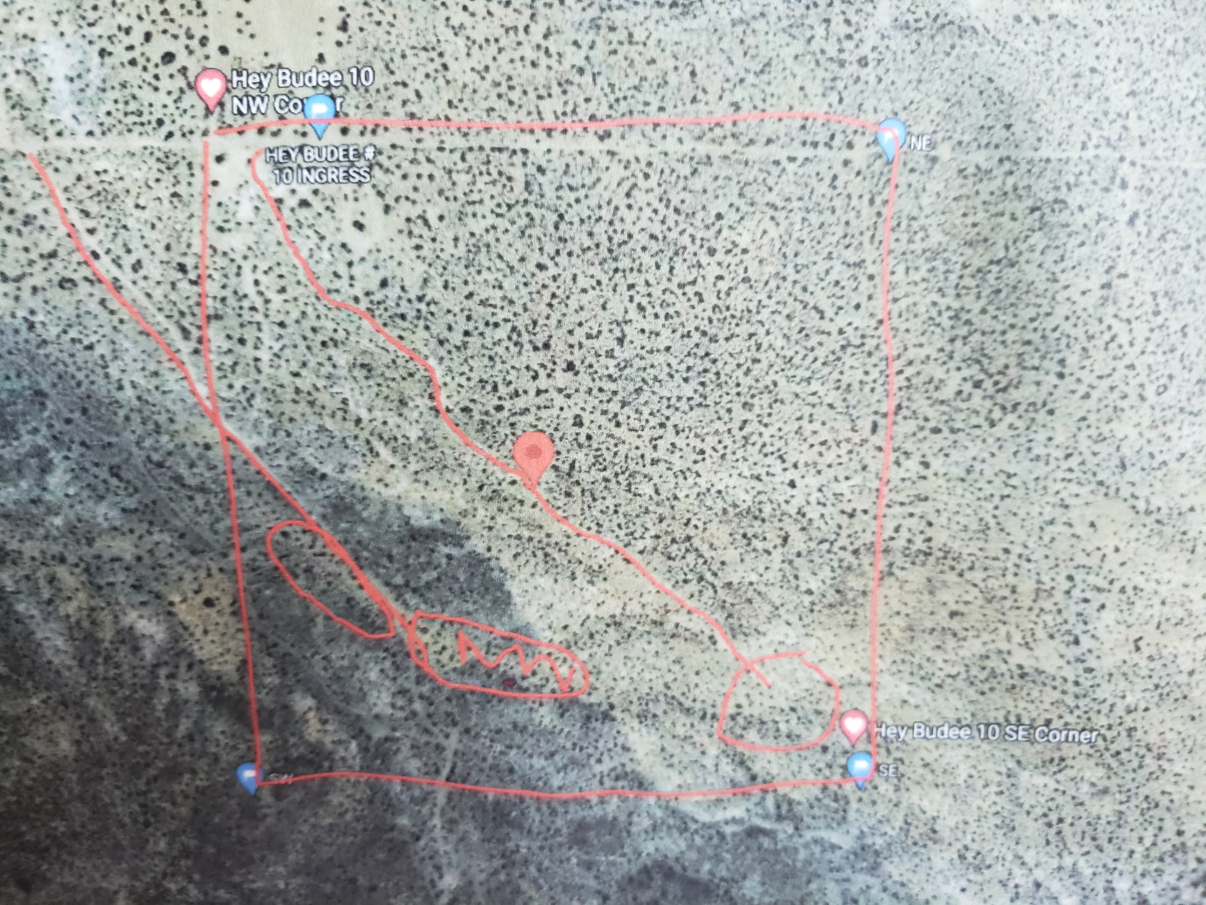 Member content 5 of 13