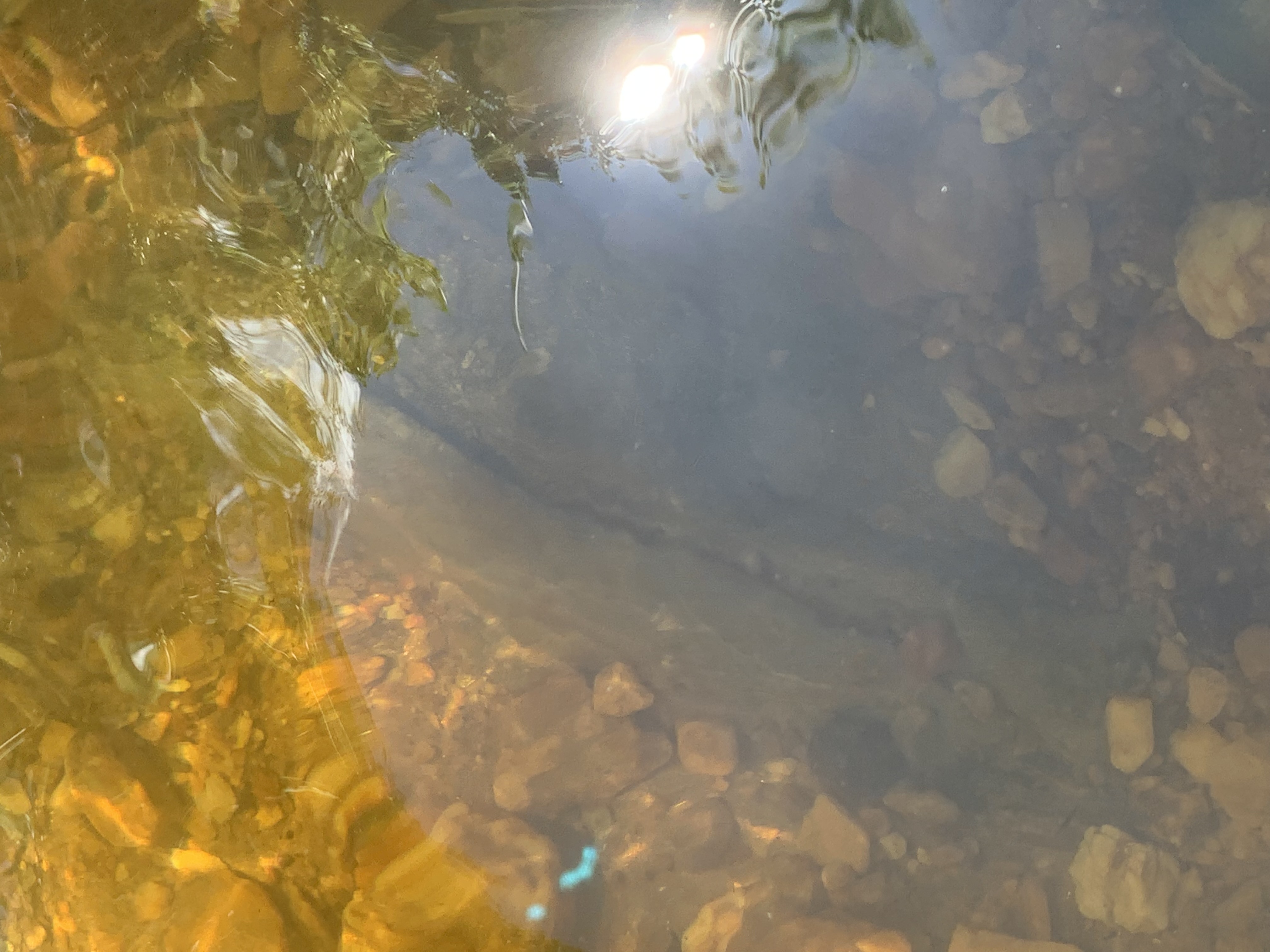 Member content 6 of 21