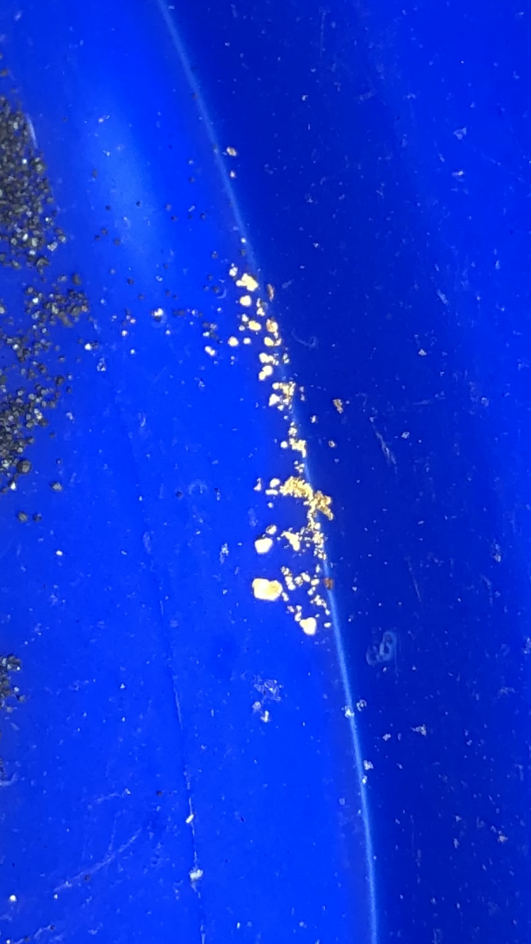 Member content 1 of 4