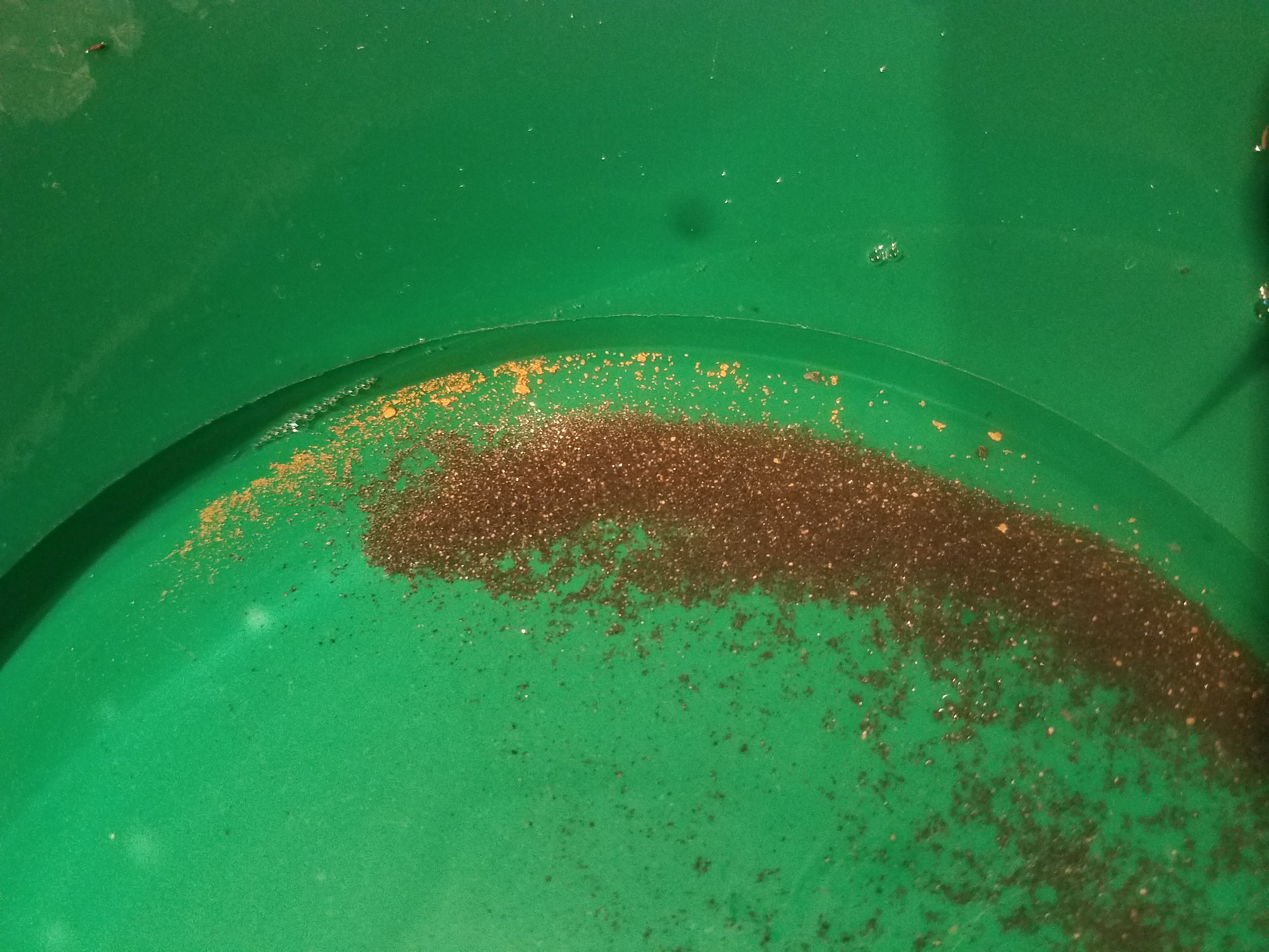 Member content 1 of 2