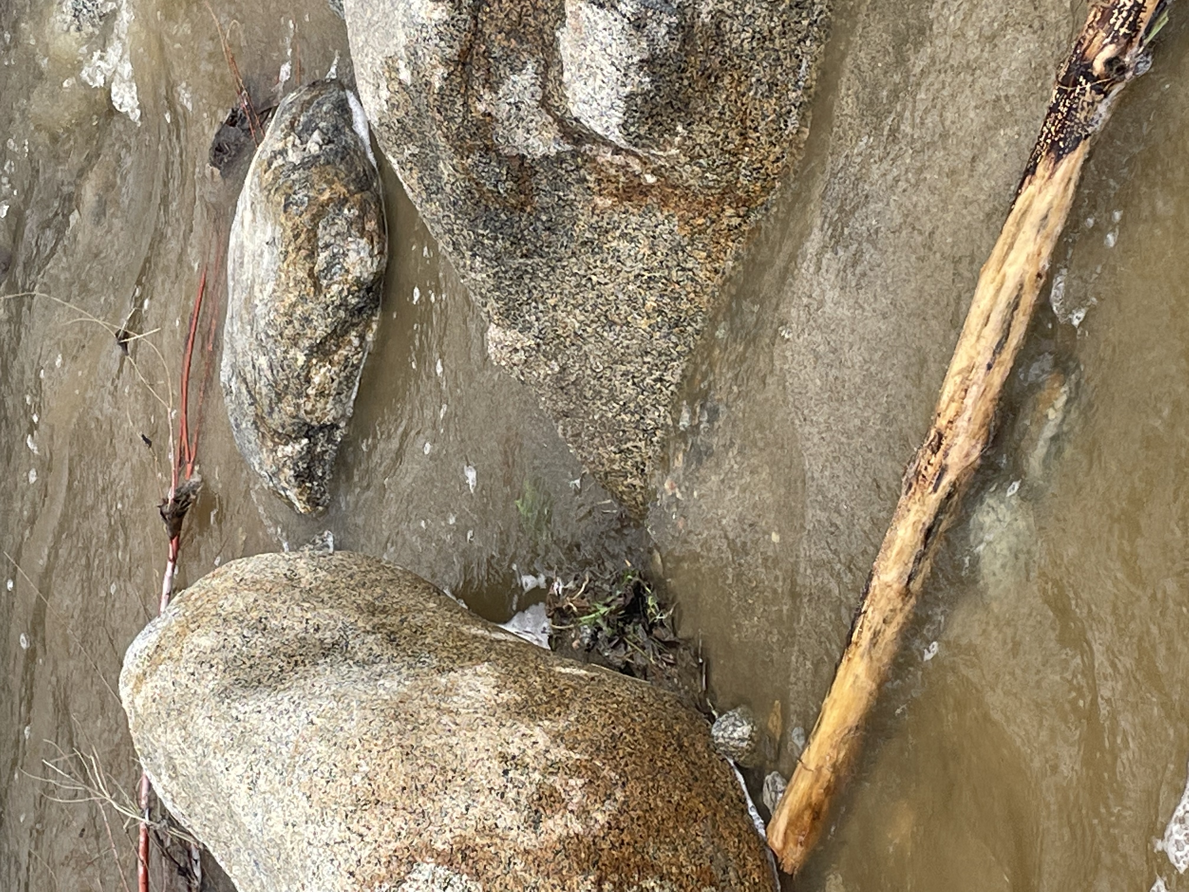 Member content 11 of 27