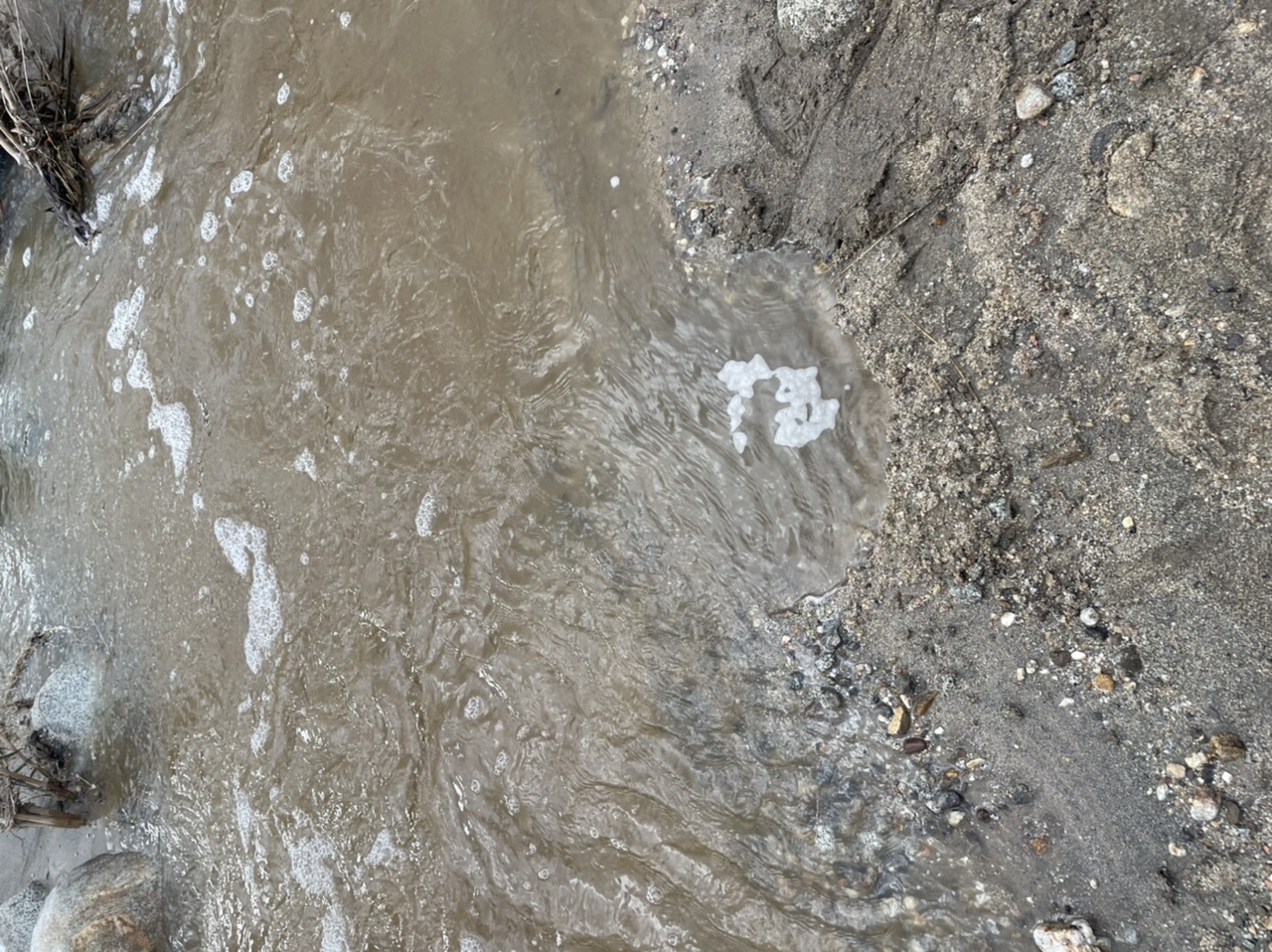 Member content 12 of 27