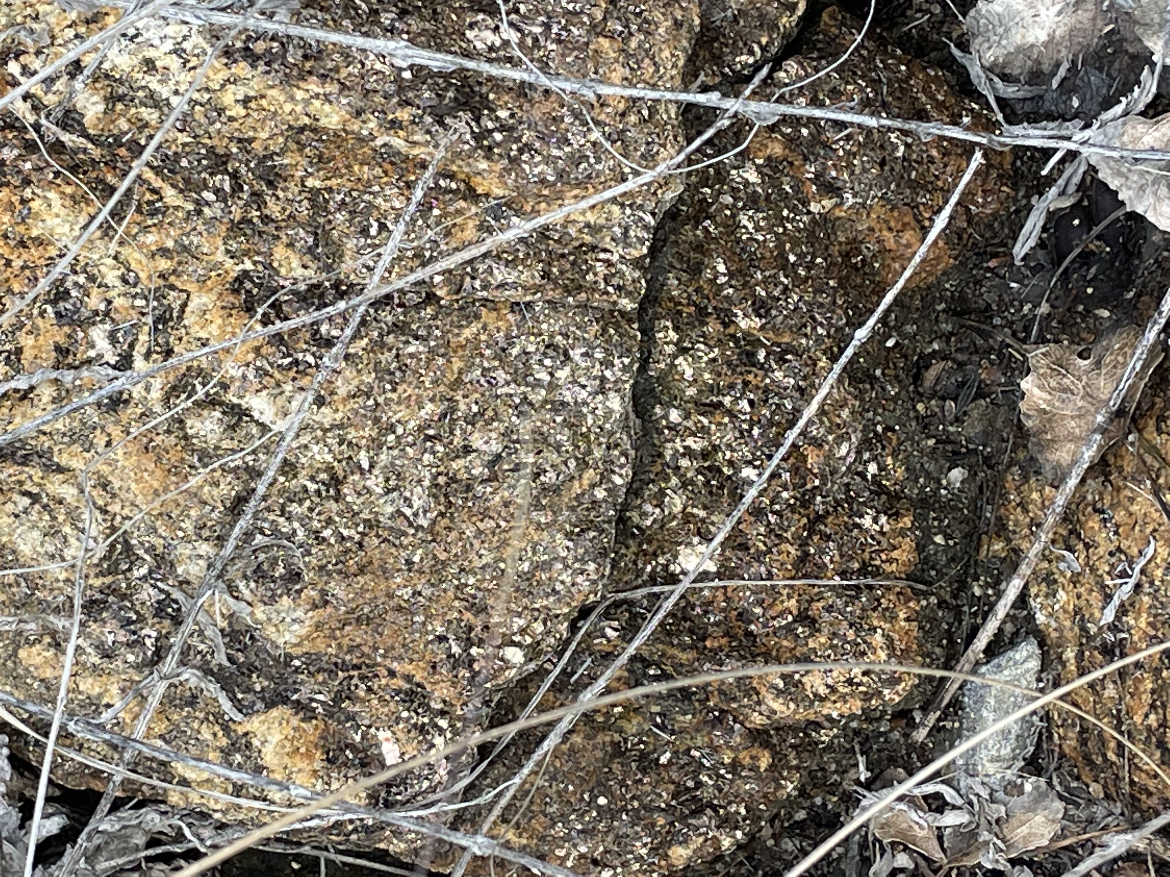 Member content 13 of 27