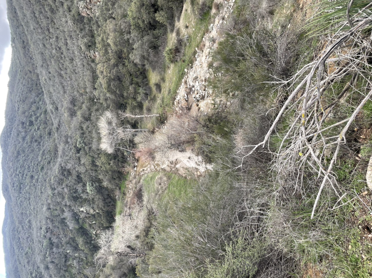 Member content 14 of 27