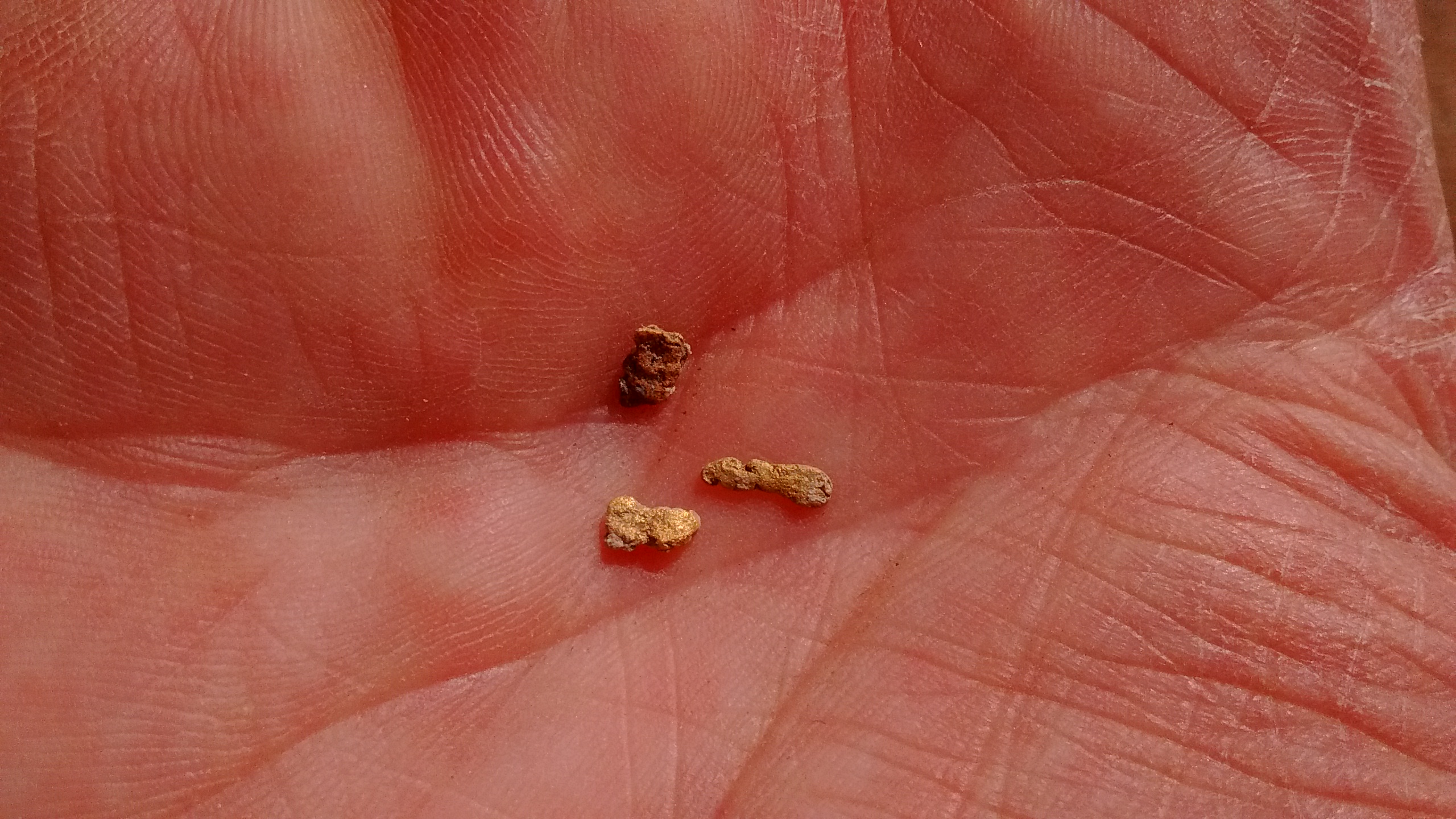 Member content 38 of 206