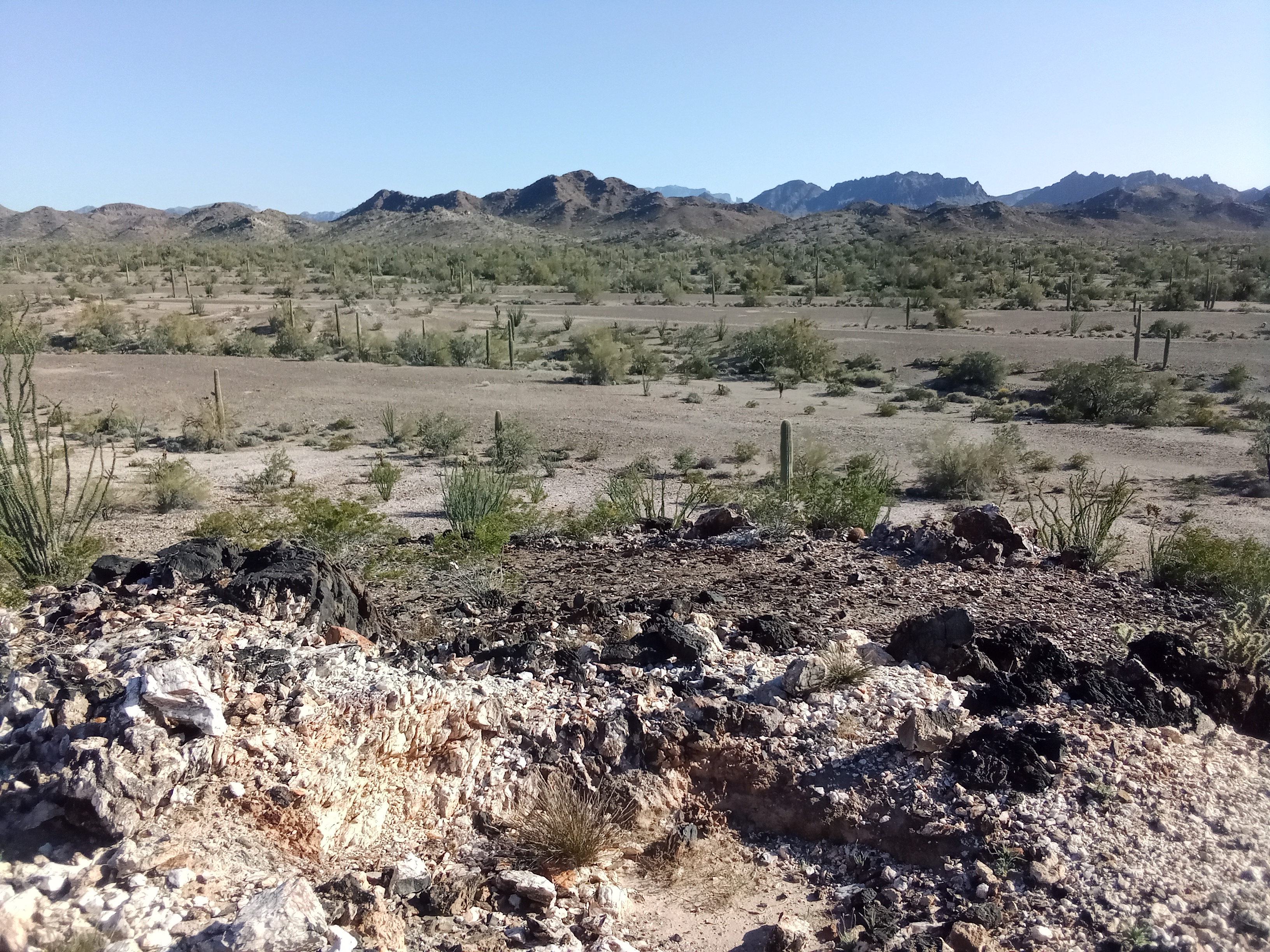 Member content 1 of 1