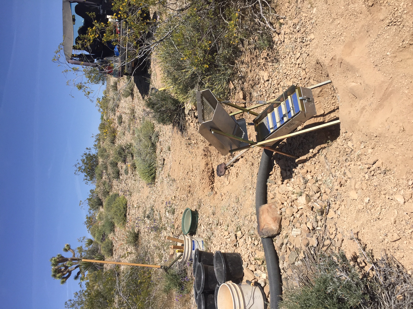 Member content 1 of 12