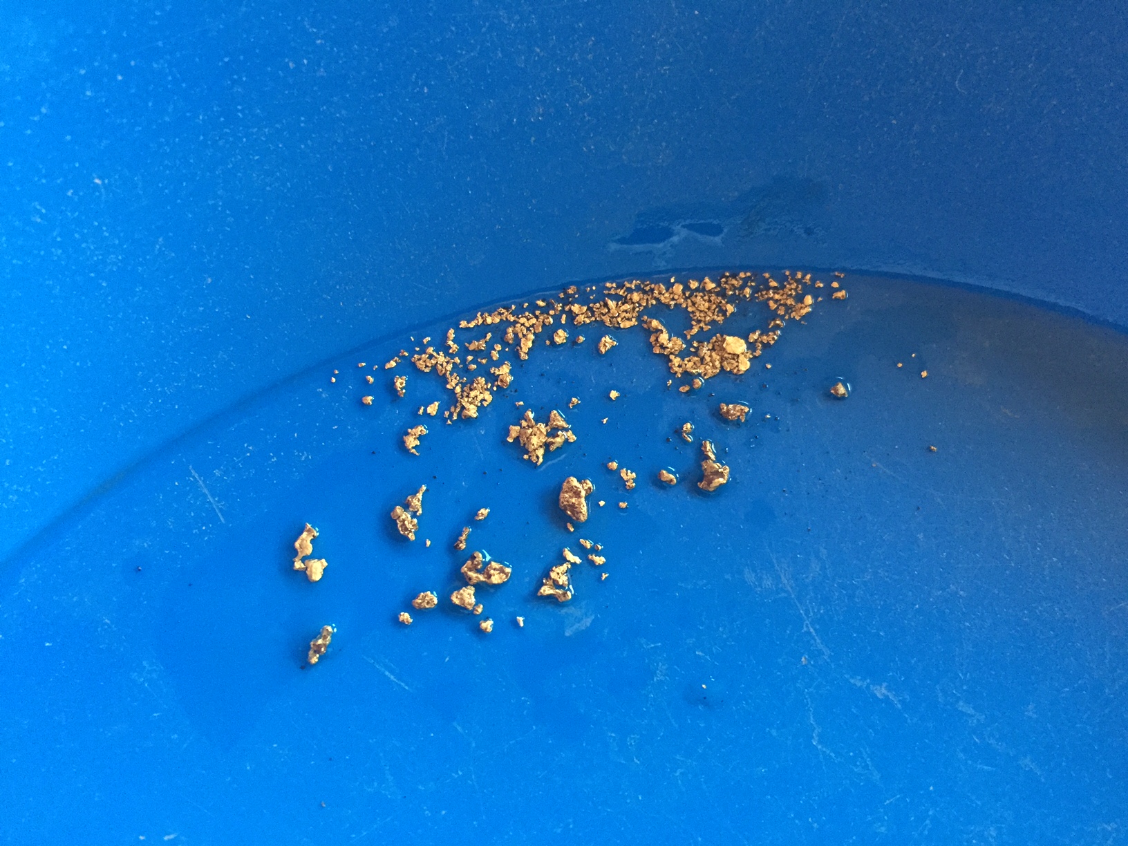 Member content 2 of 12