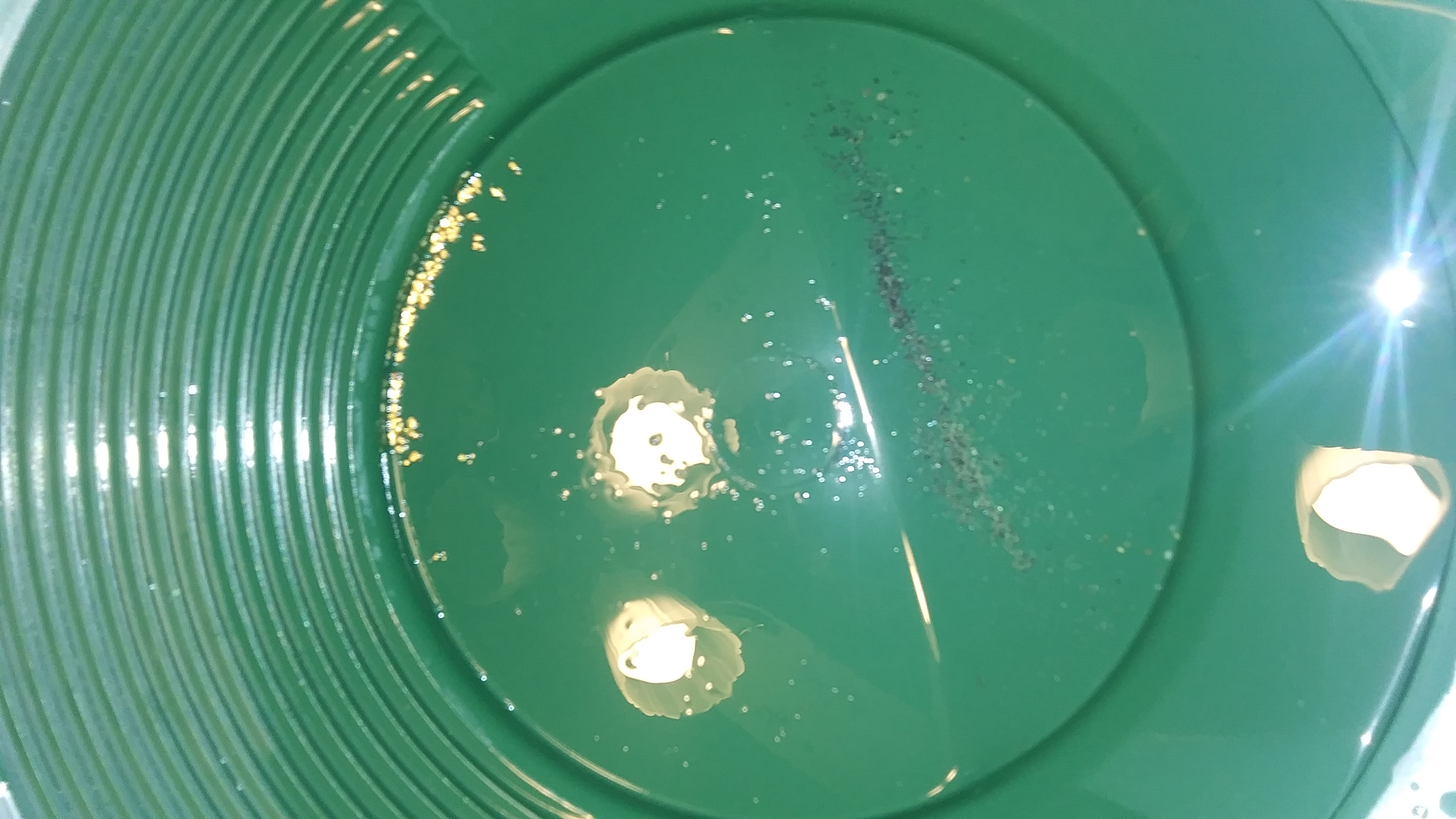 Member content 1 of 10